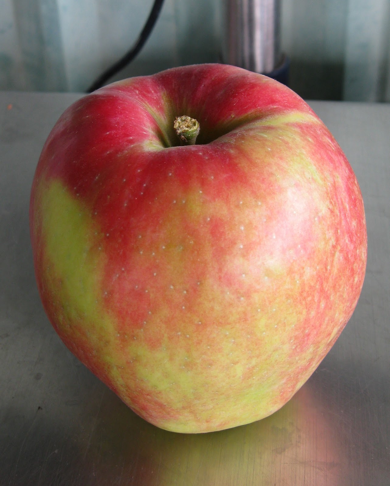 Nagle5 News: Picking Apples