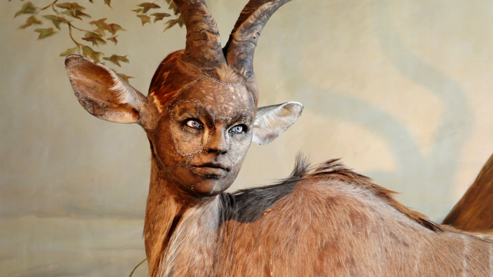 Human-Looking Faces on Animal Bodies: Taxidermy as Art