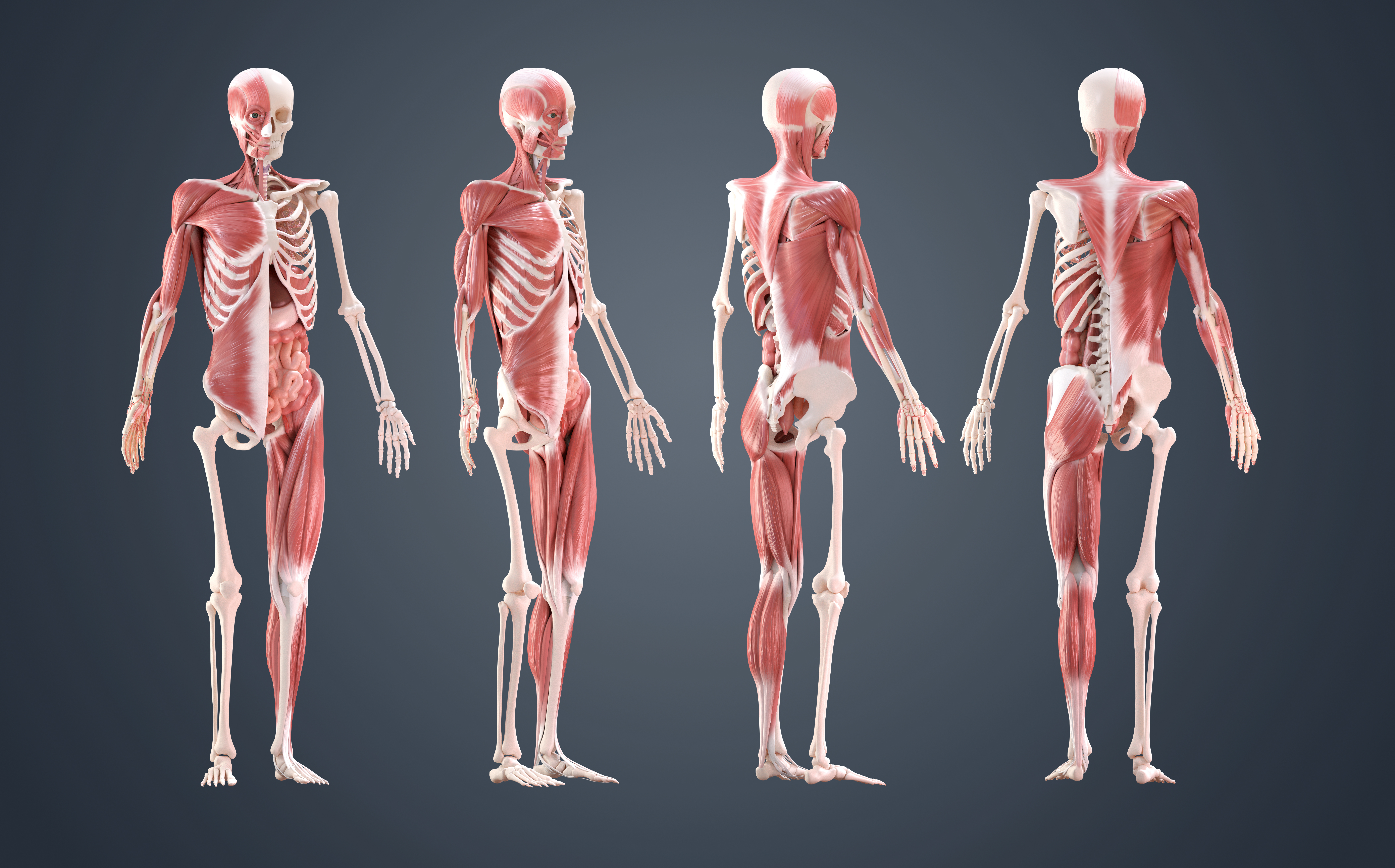 10 ways to improve your human anatomy modelling | Creative Bloq