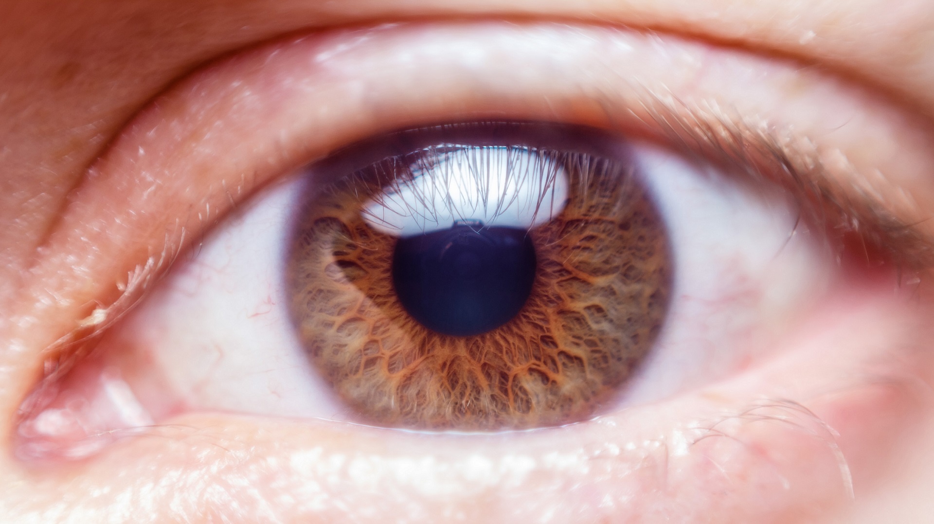 Human Eye Close Up Free Stock Photo - Public Domain Pictures