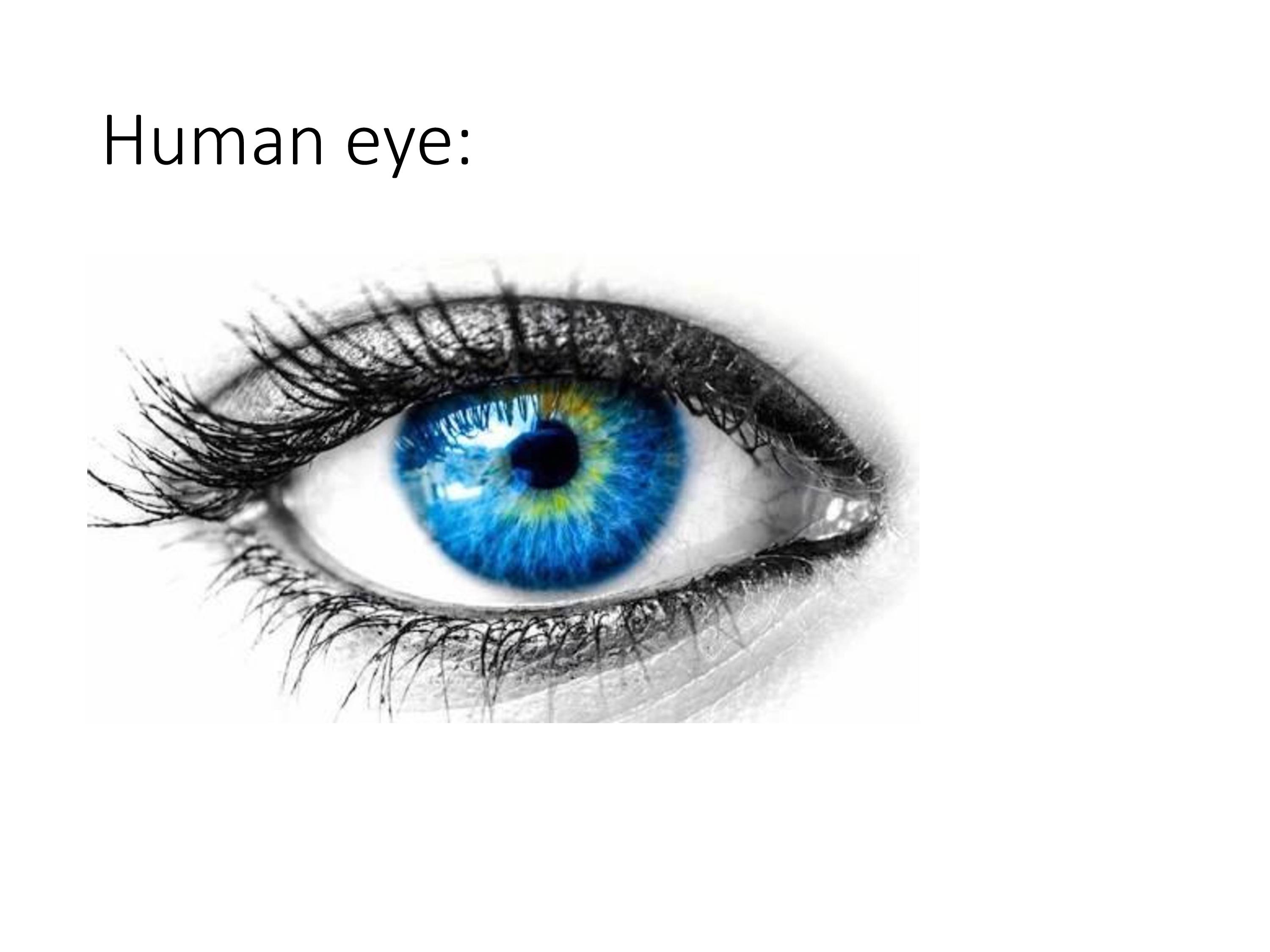 Human Eye - PowerPoint Slides