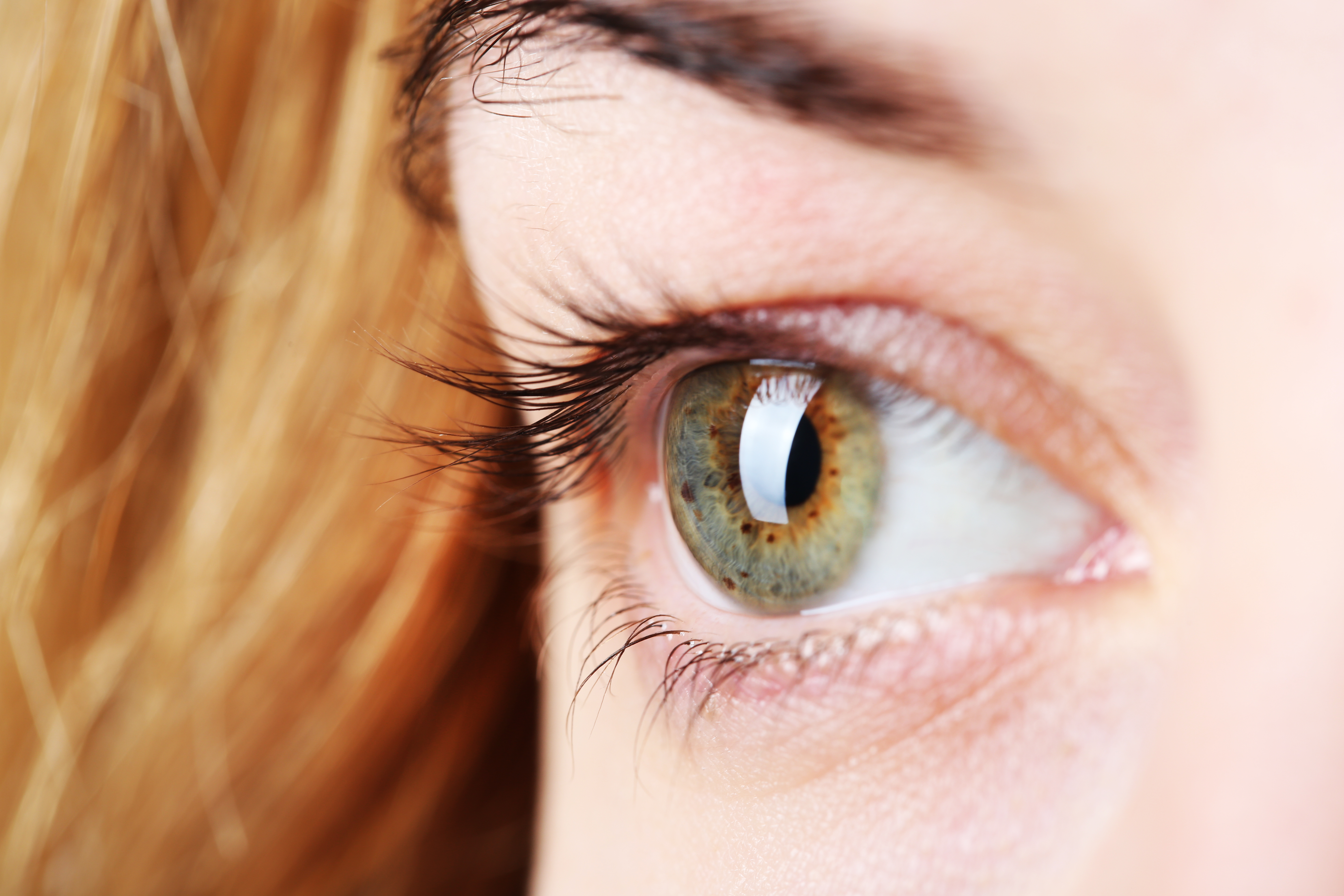 Thanks To Color Vision, The Human Eye Can Distinguish Between Most ...