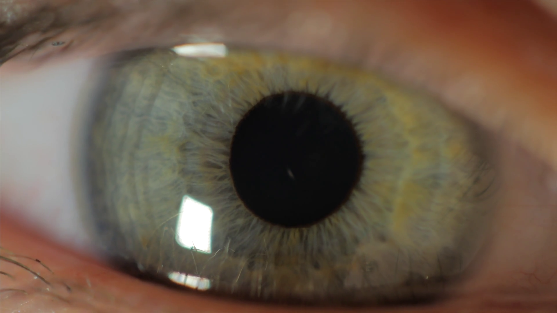 Extreme close up human eye iris in 4K UHD video. Human eye iris ...