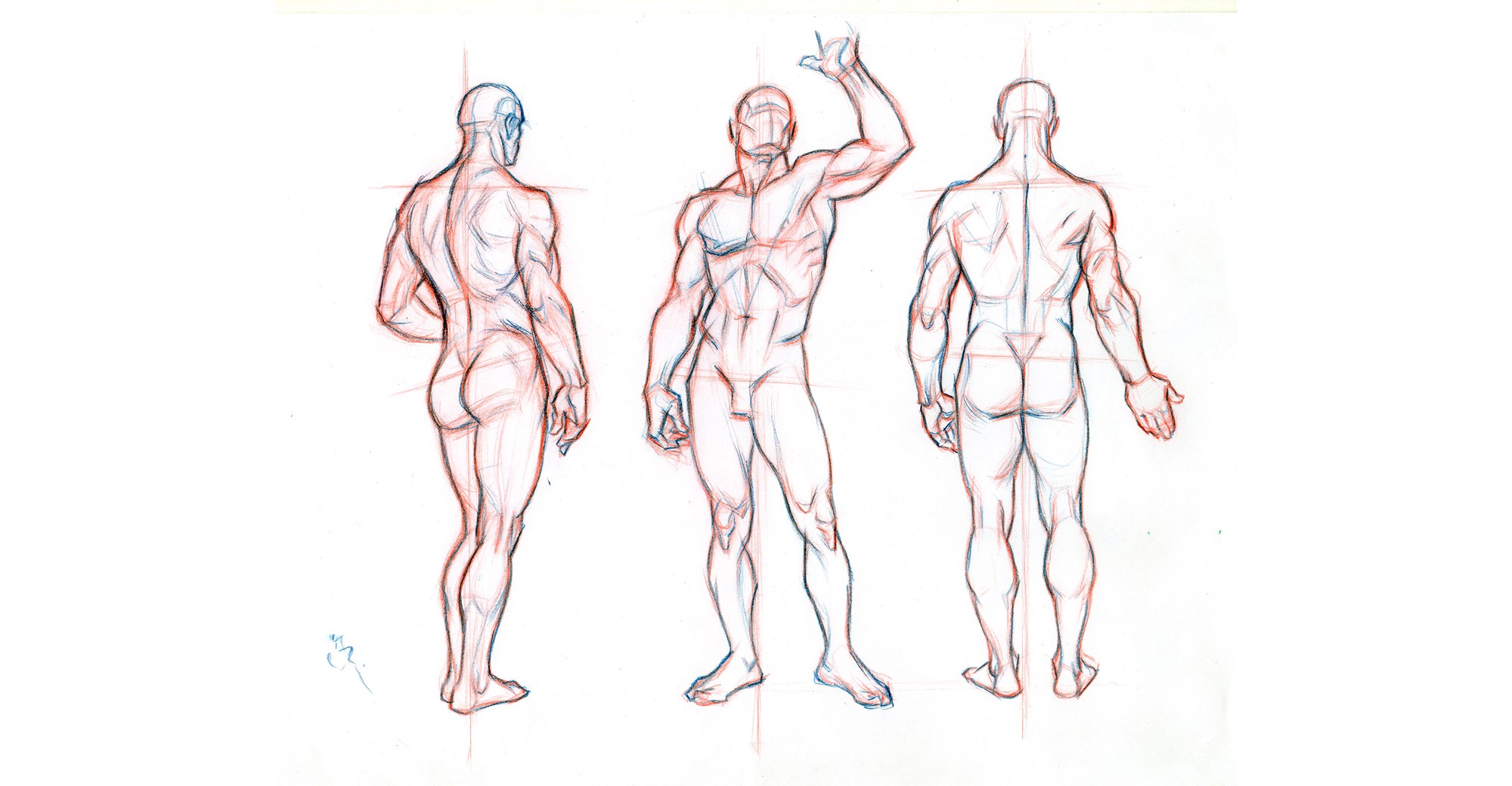 Beginner´s Guide; Importance of Proper Body Proportions and How to ...