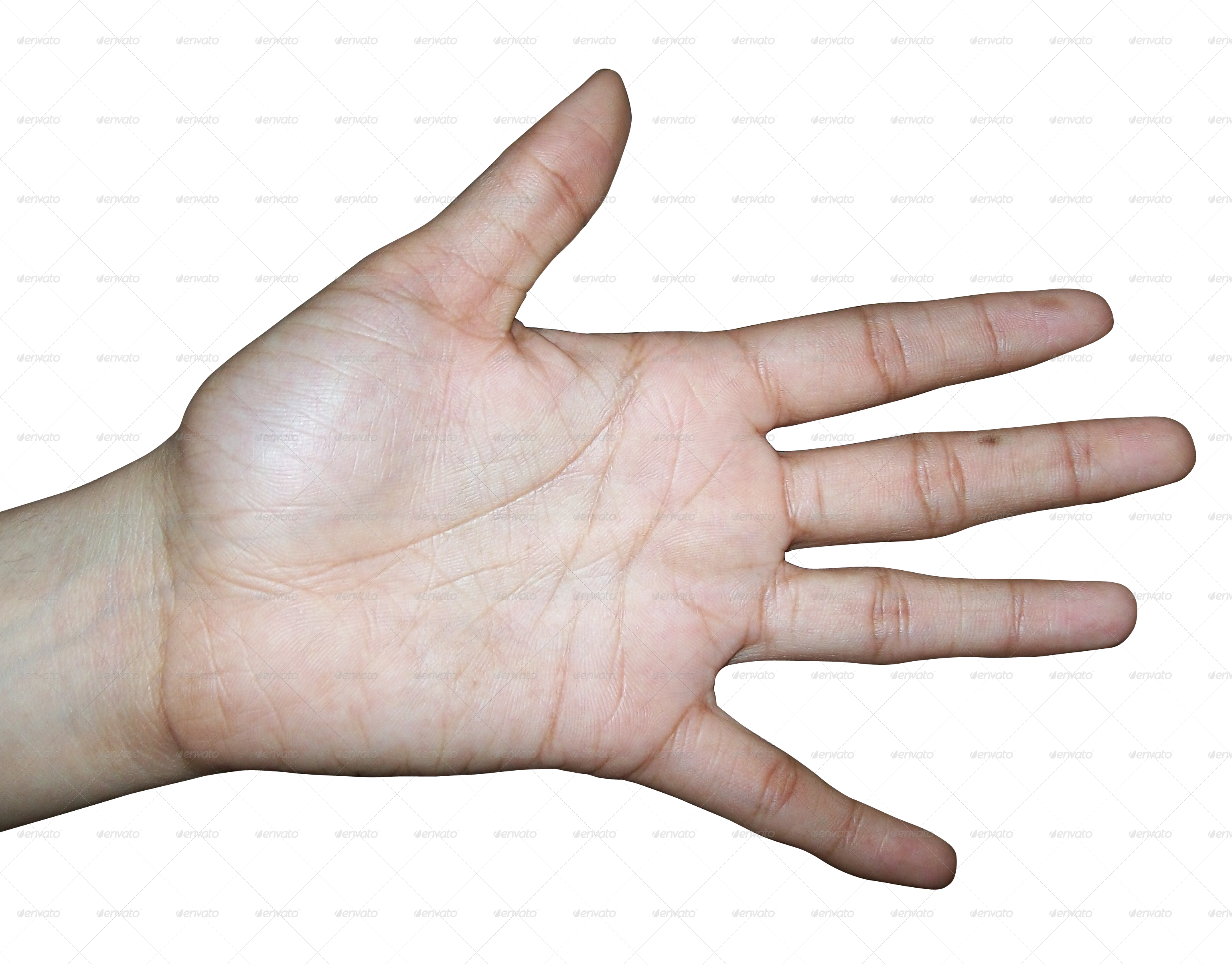 Human hand photo