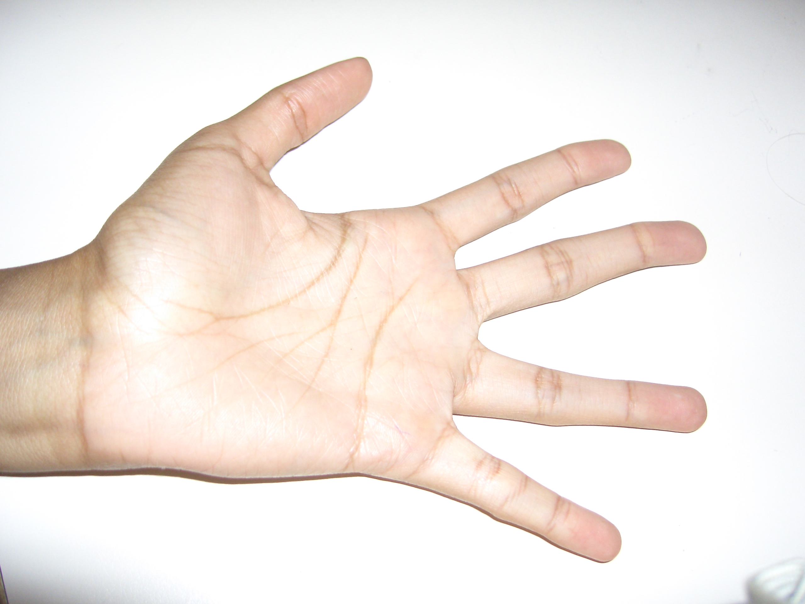 Human hands photo