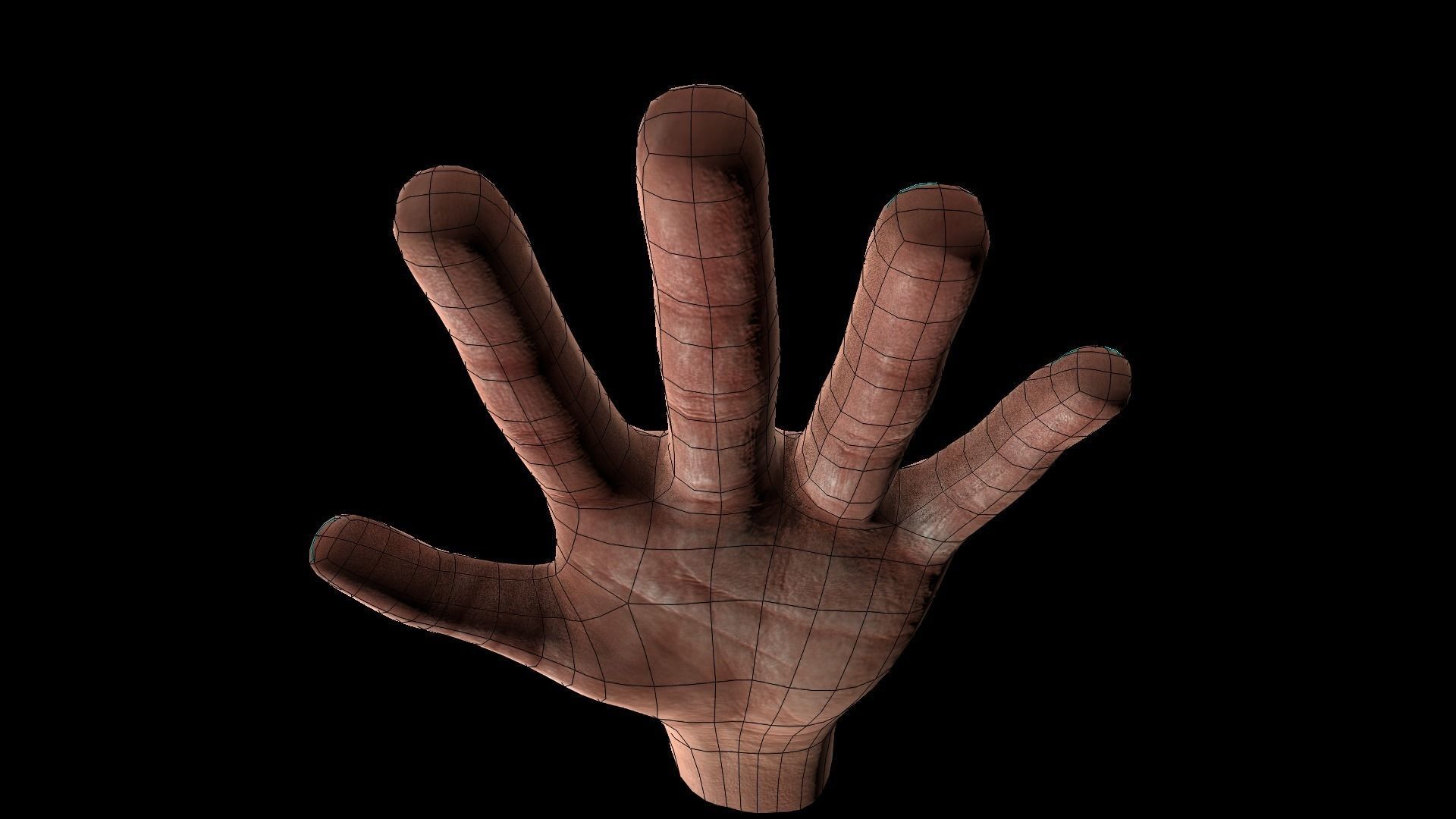 3D asset Rigged Hands | CGTrader