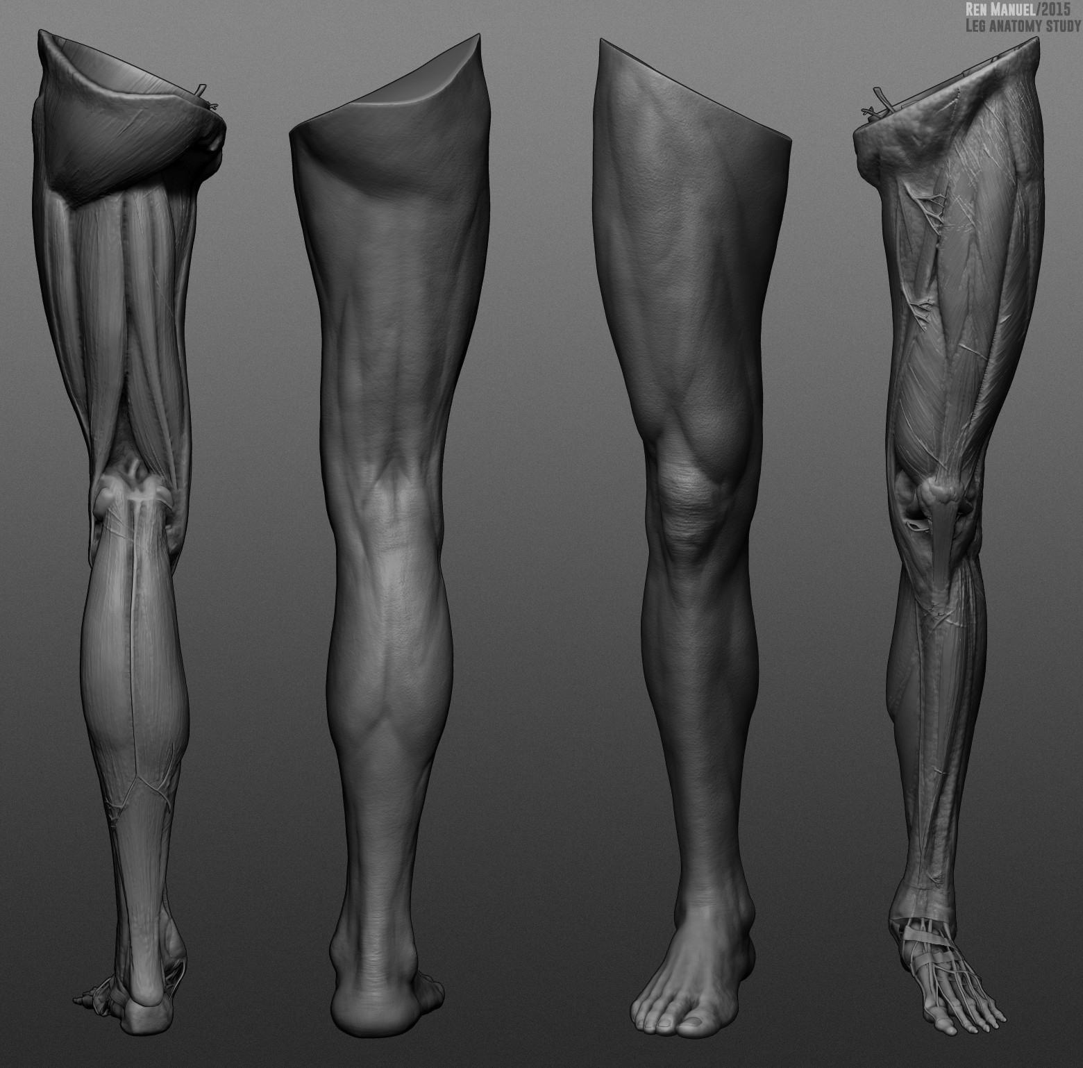 ArtStation - Leg anatomy study., Ren Manuel