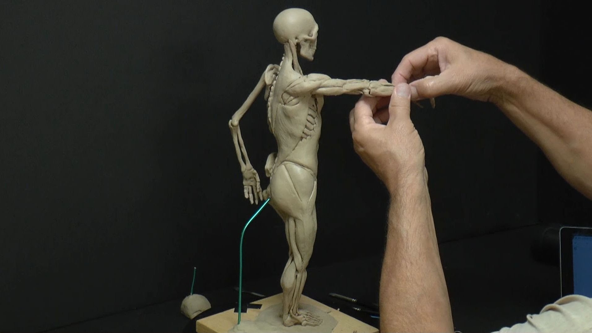 Human Anatomy Sculpture (Ecorche) 17_FD - YouTube