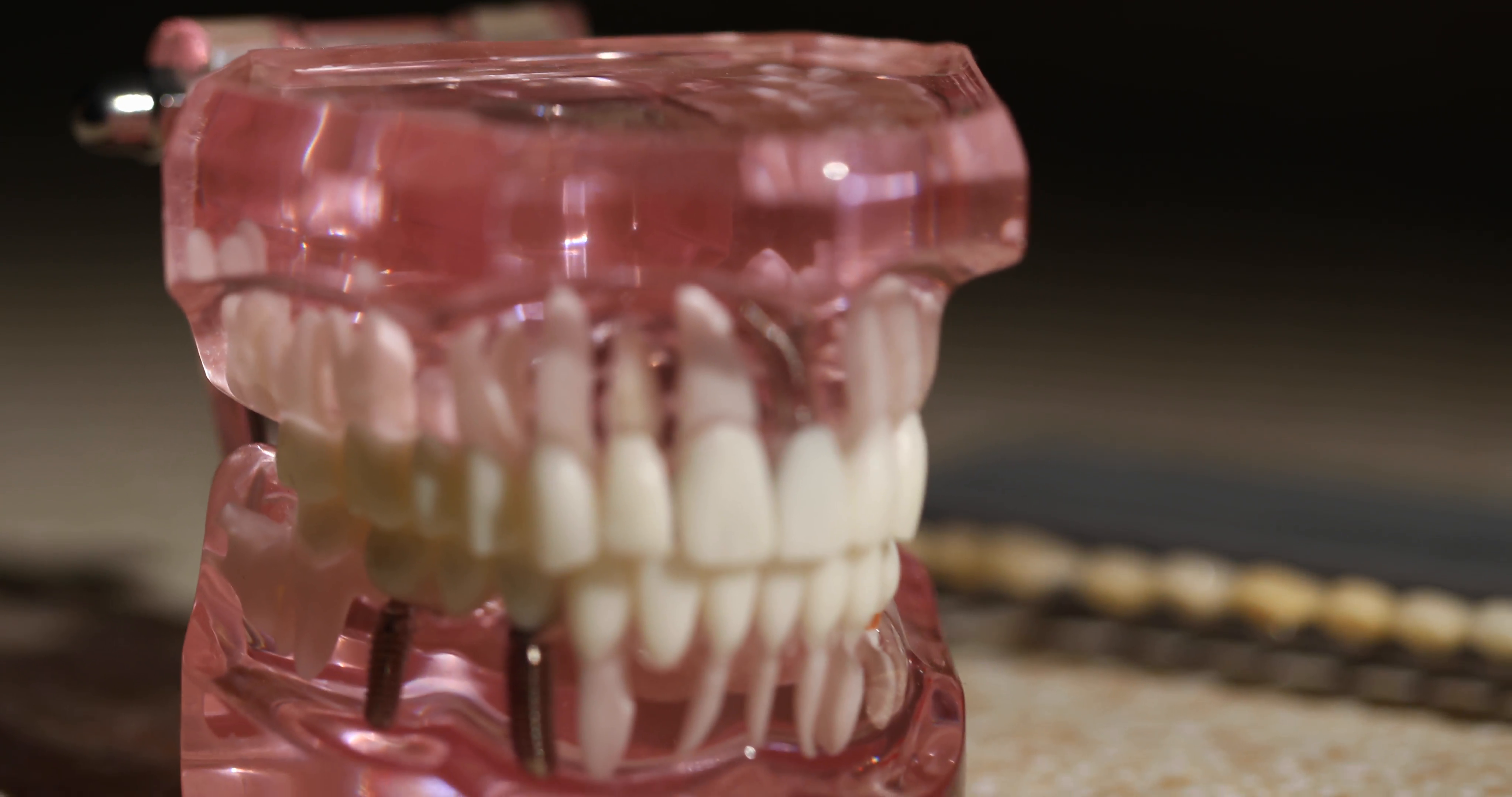 Model Teeth Dolly Moves. 2 shots. camera pulls back on a model of ...