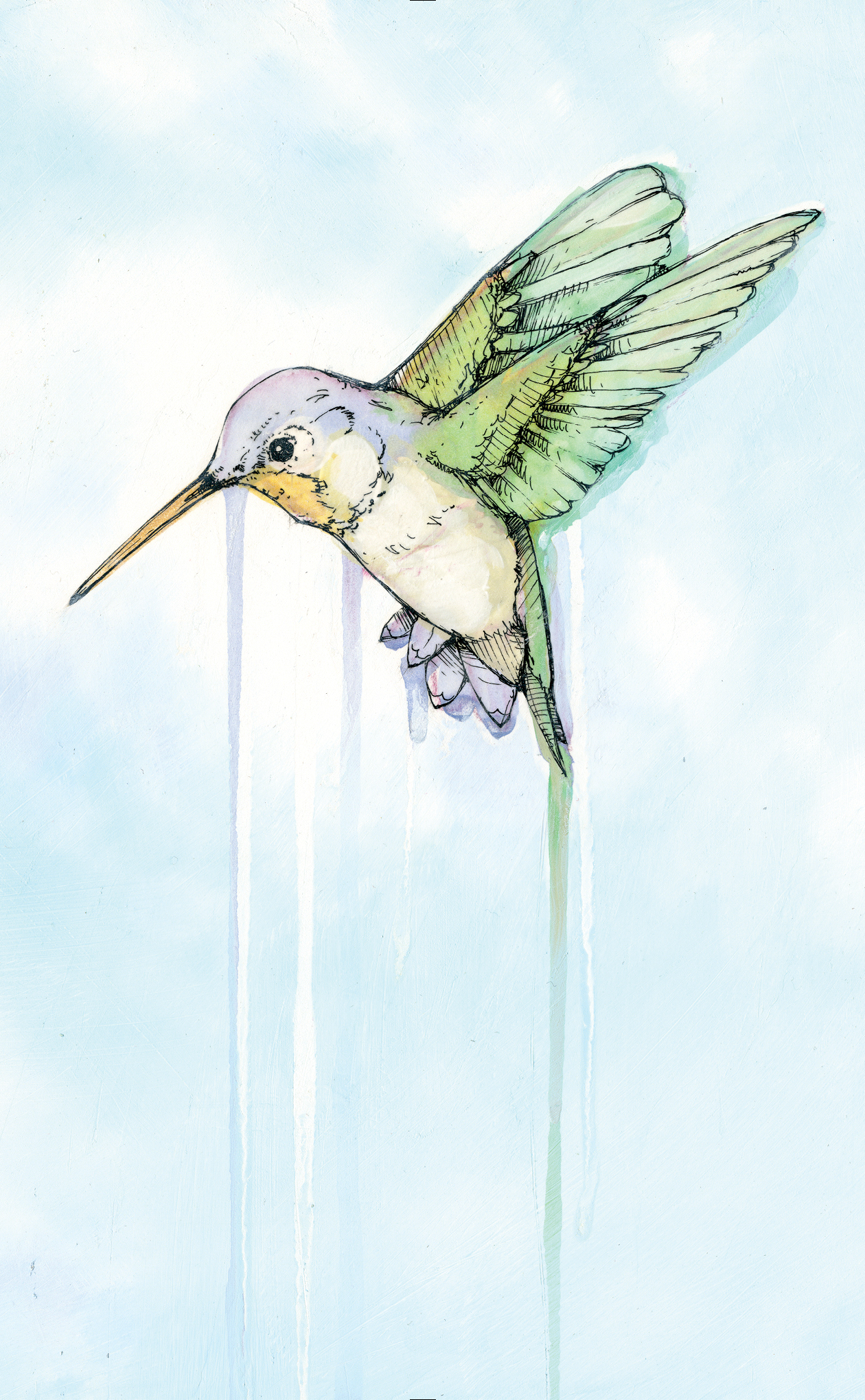 Hummingbird – Rare Bird Books