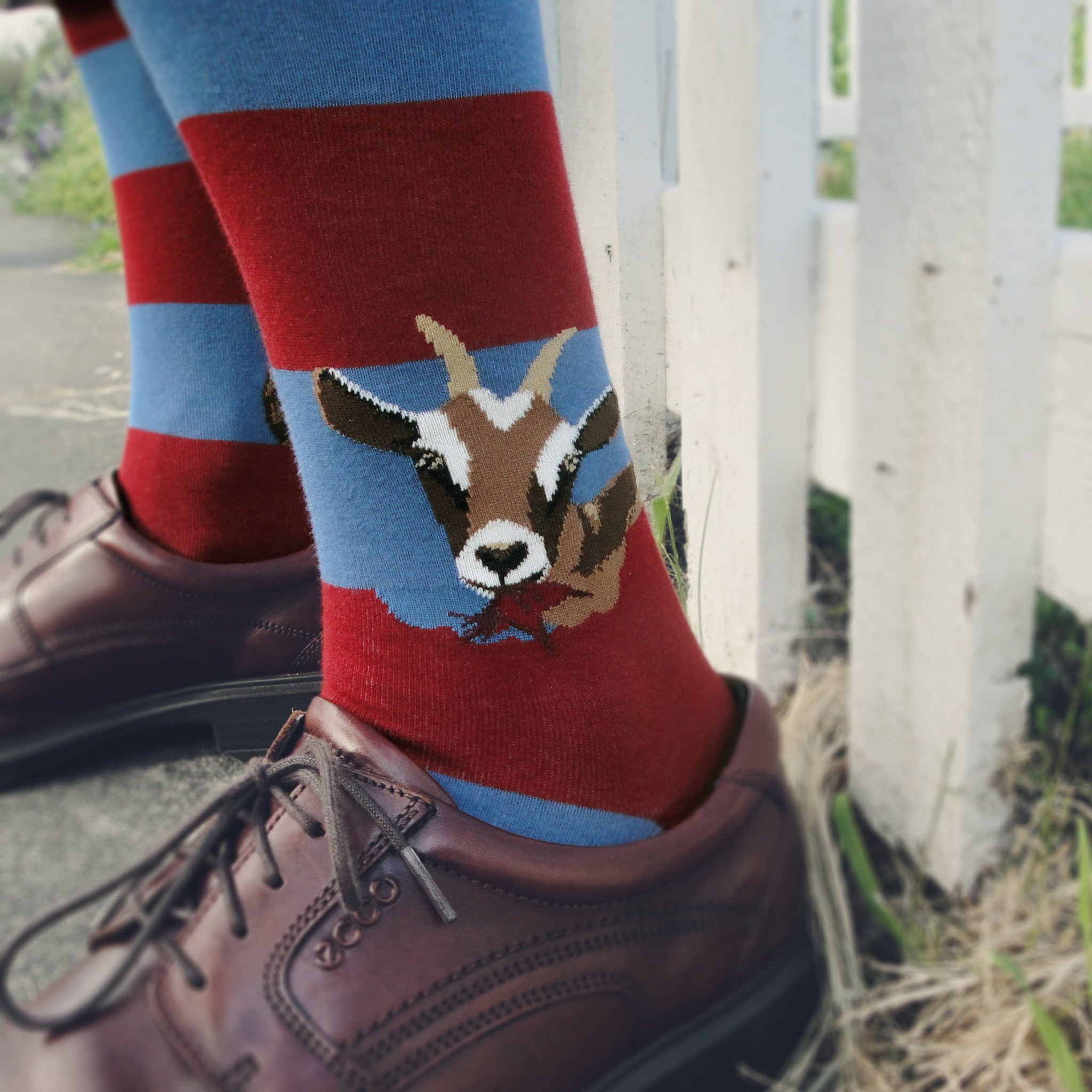 Goat Socks for Men | Funny Hungry Goats Crew by ModSocks