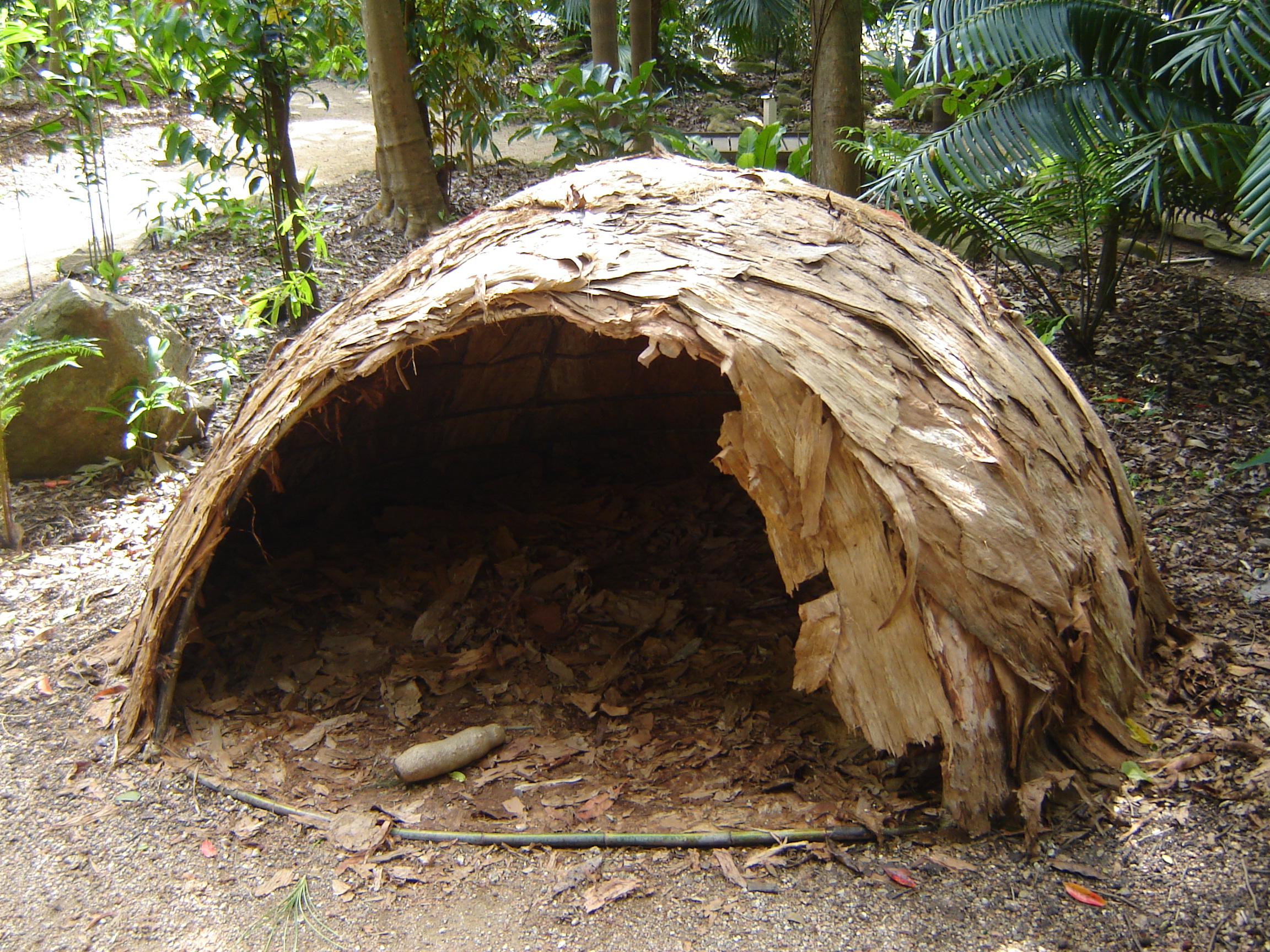 File:Hut-rainforest.JPG - Wikipedia