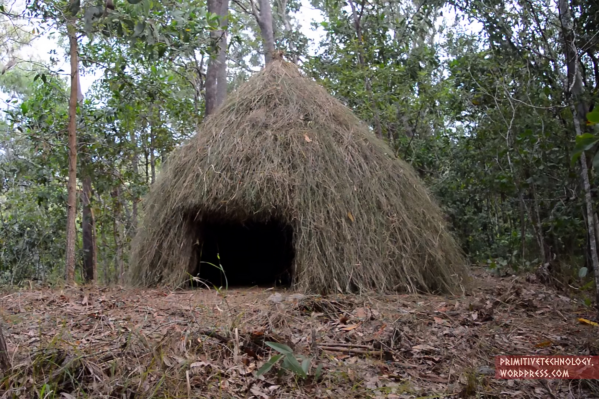 Primitive Technology: How to Build a Grass Hut | RECOIL OFFGRID