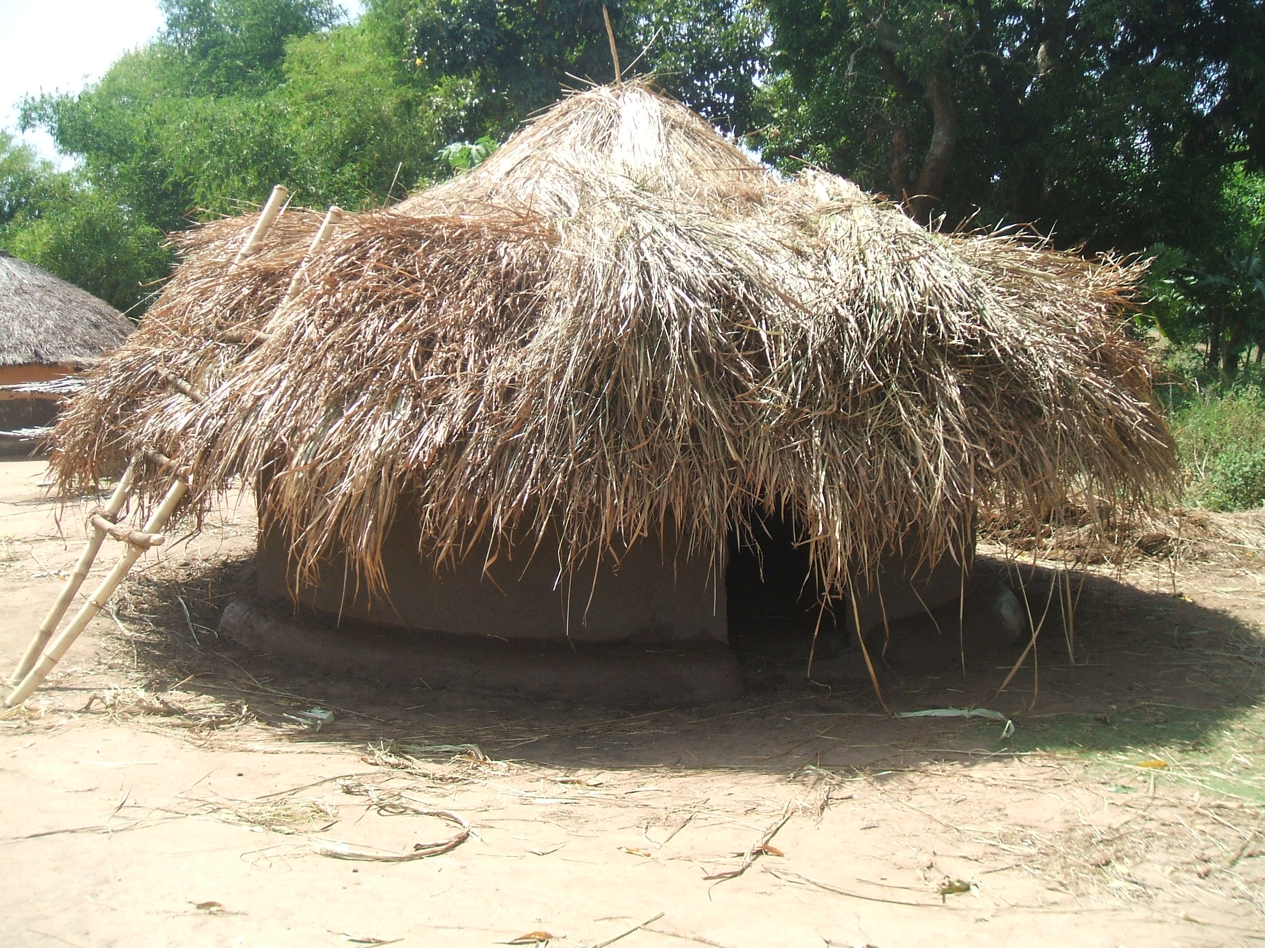 Acholi Traditional Grass Thatched Hut | elizabethbumpas.com