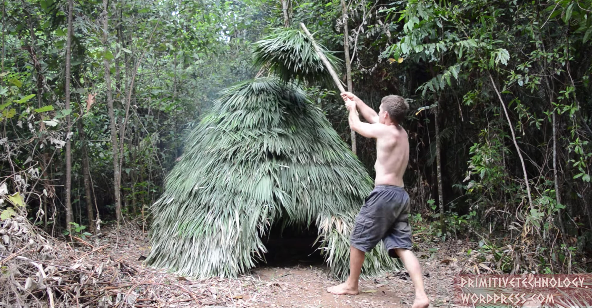 Watch: Palm Leaf Hut Built Completely From Scratch
