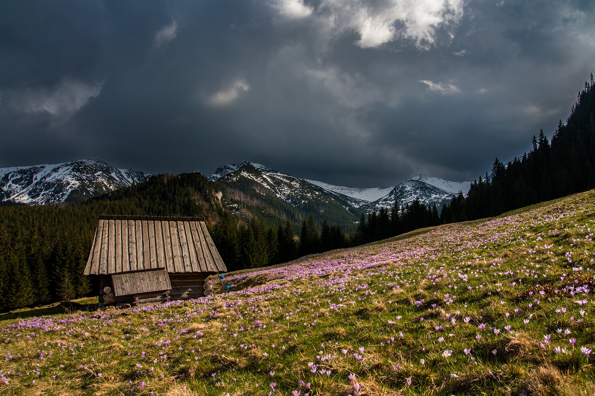 Hut on the mountain photo