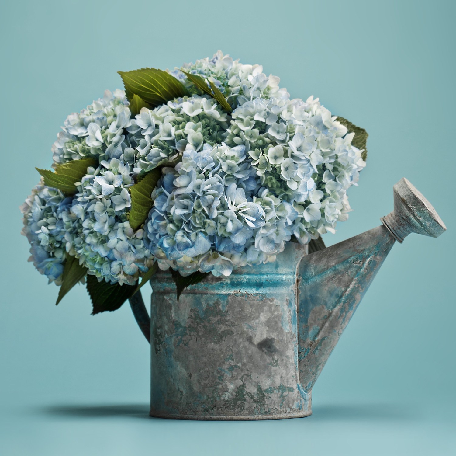 Our Favorite Hydrangea Arrangements | Flower Magazine