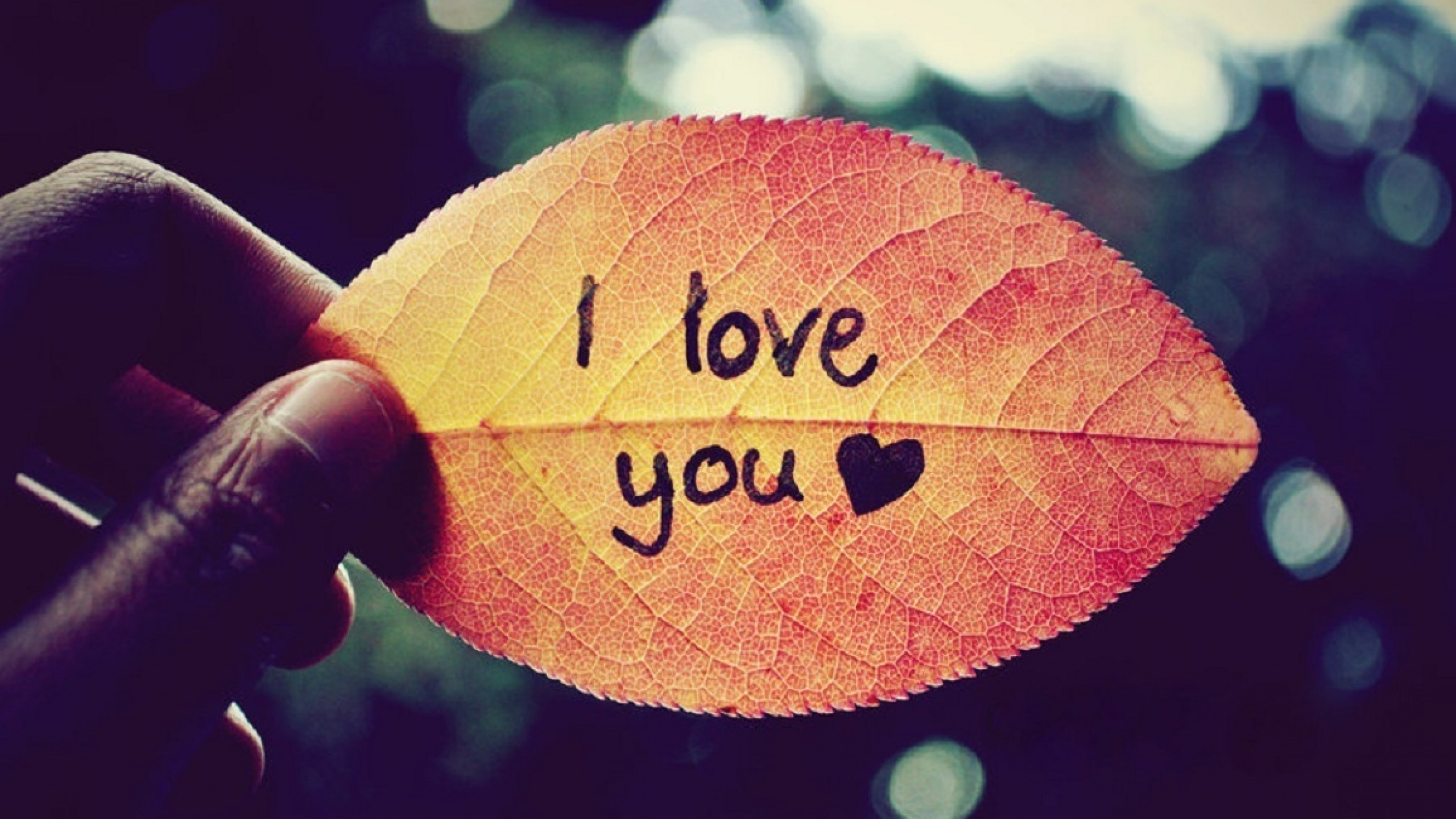 Sweet Collection of I Love You Pictures and Images