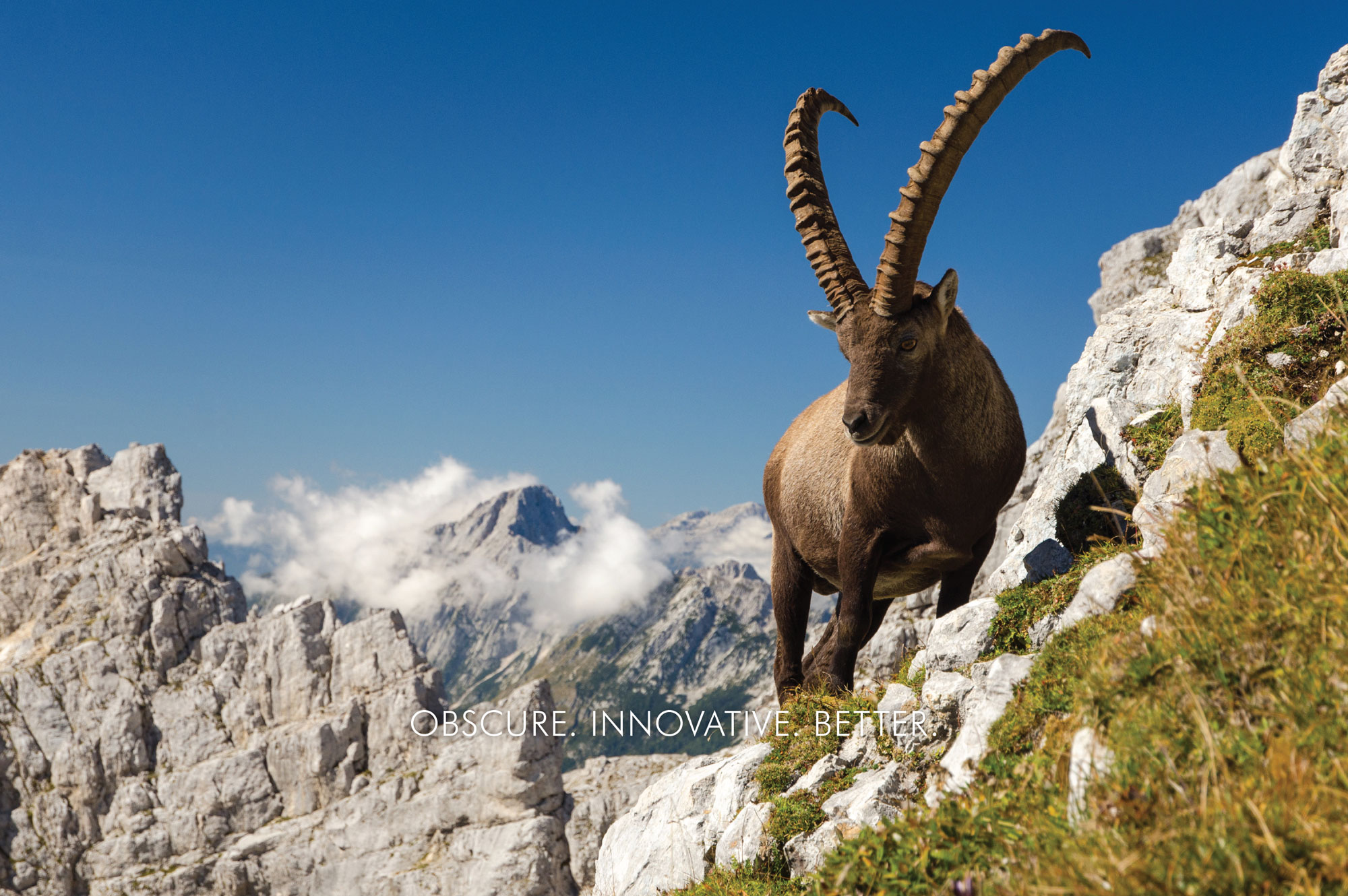 Ibex-Home-Page_08-21-17-1.jpg?format=2500w