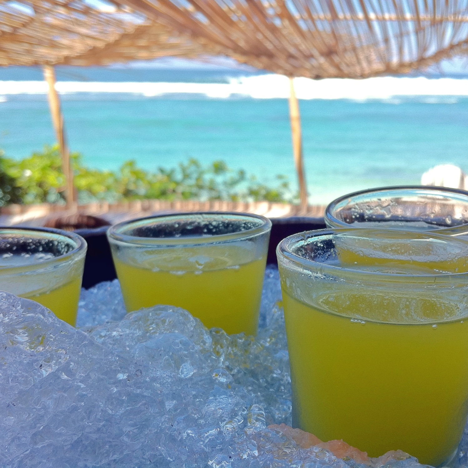 File:Ice cold drinks by the beach (6007722799).jpg - Wikimedia Commons
