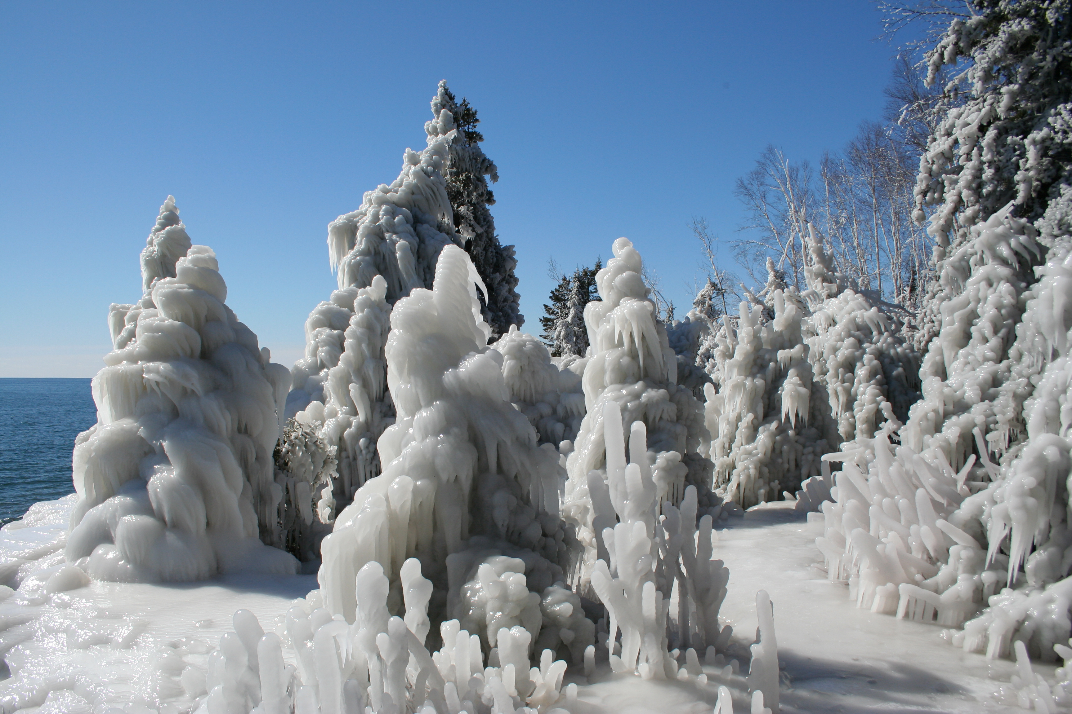 Ice covered trees photo