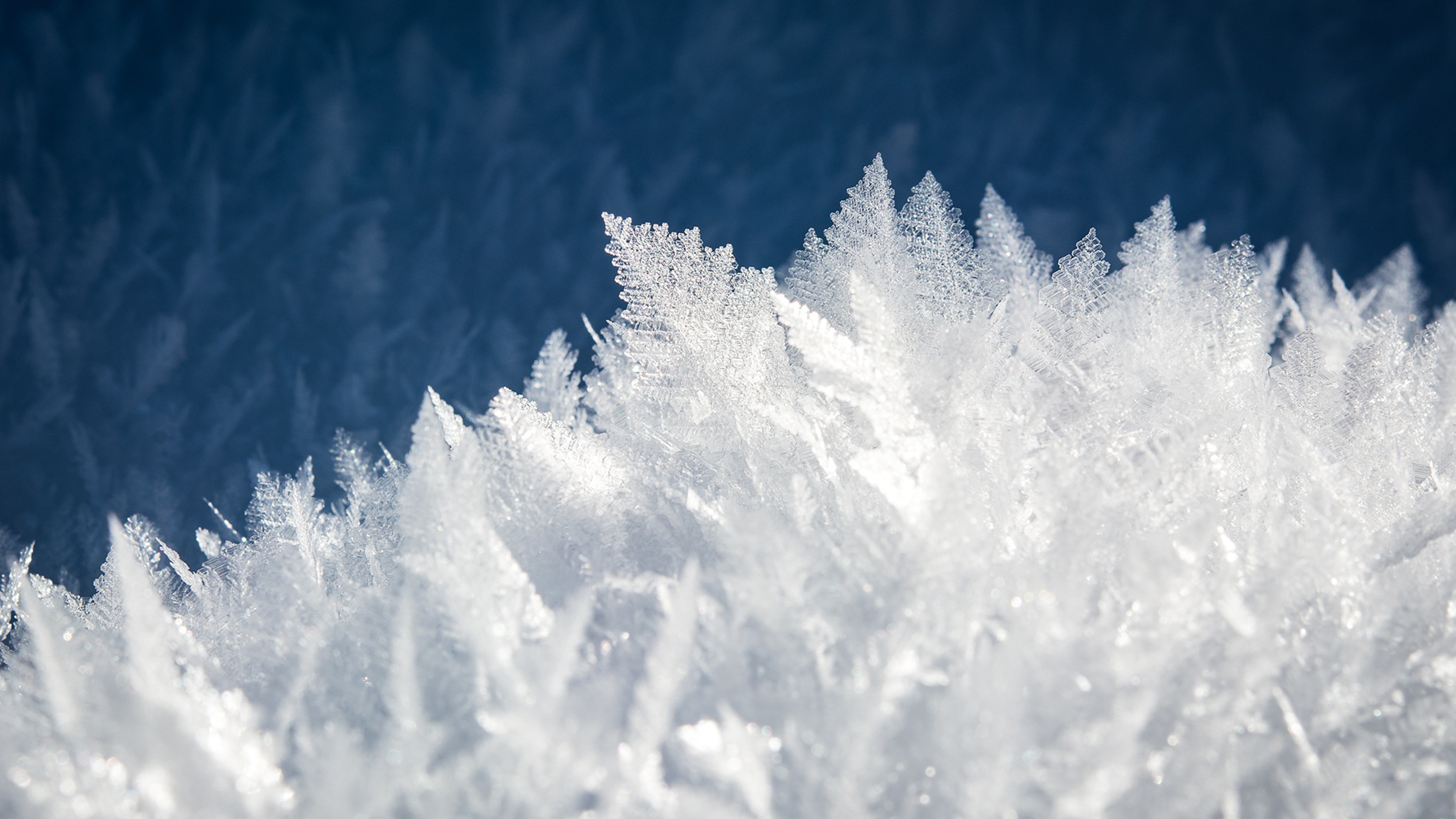 Ice crystals photo