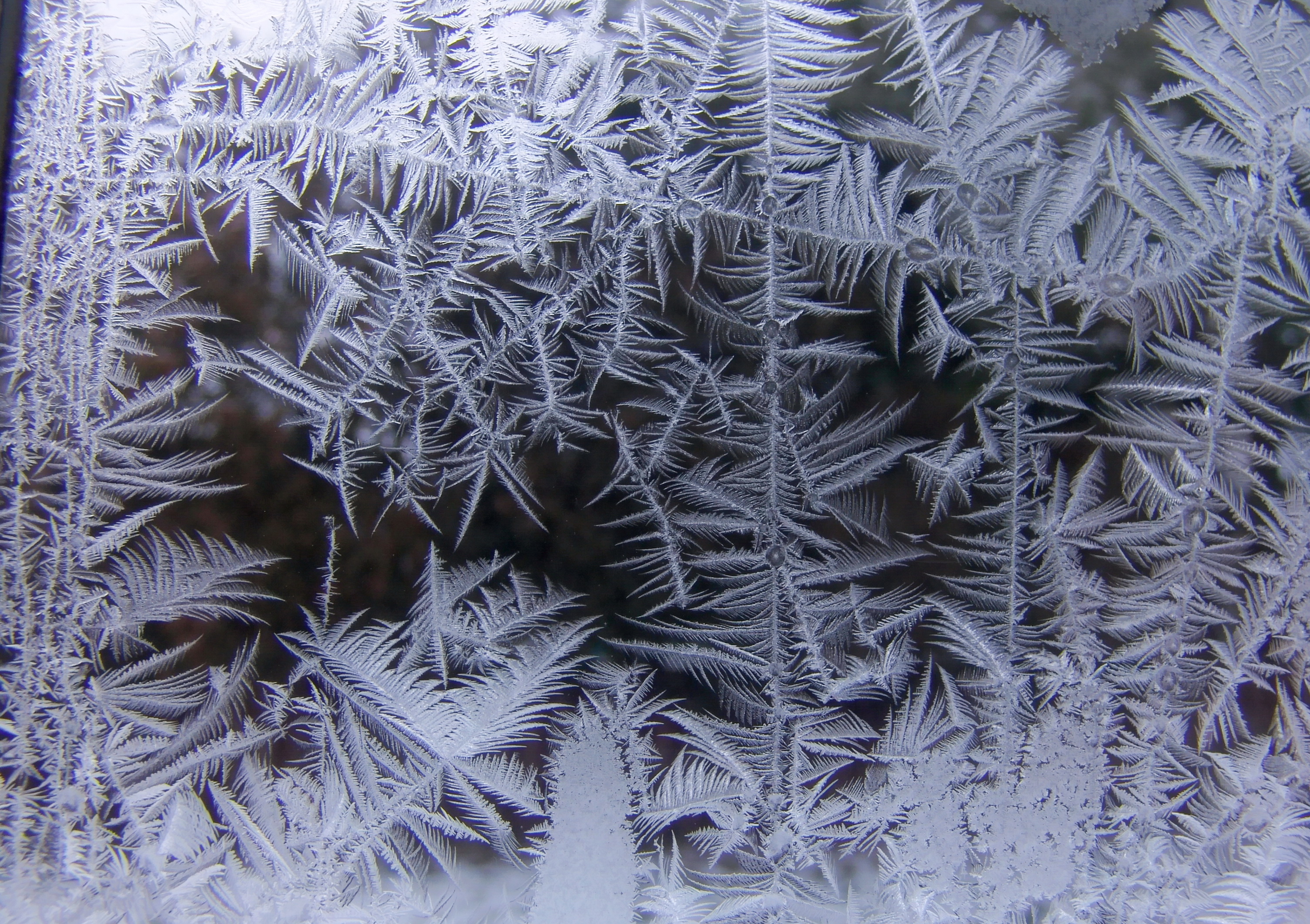 File:Ice crystals at window07.jpg - Wikimedia Commons