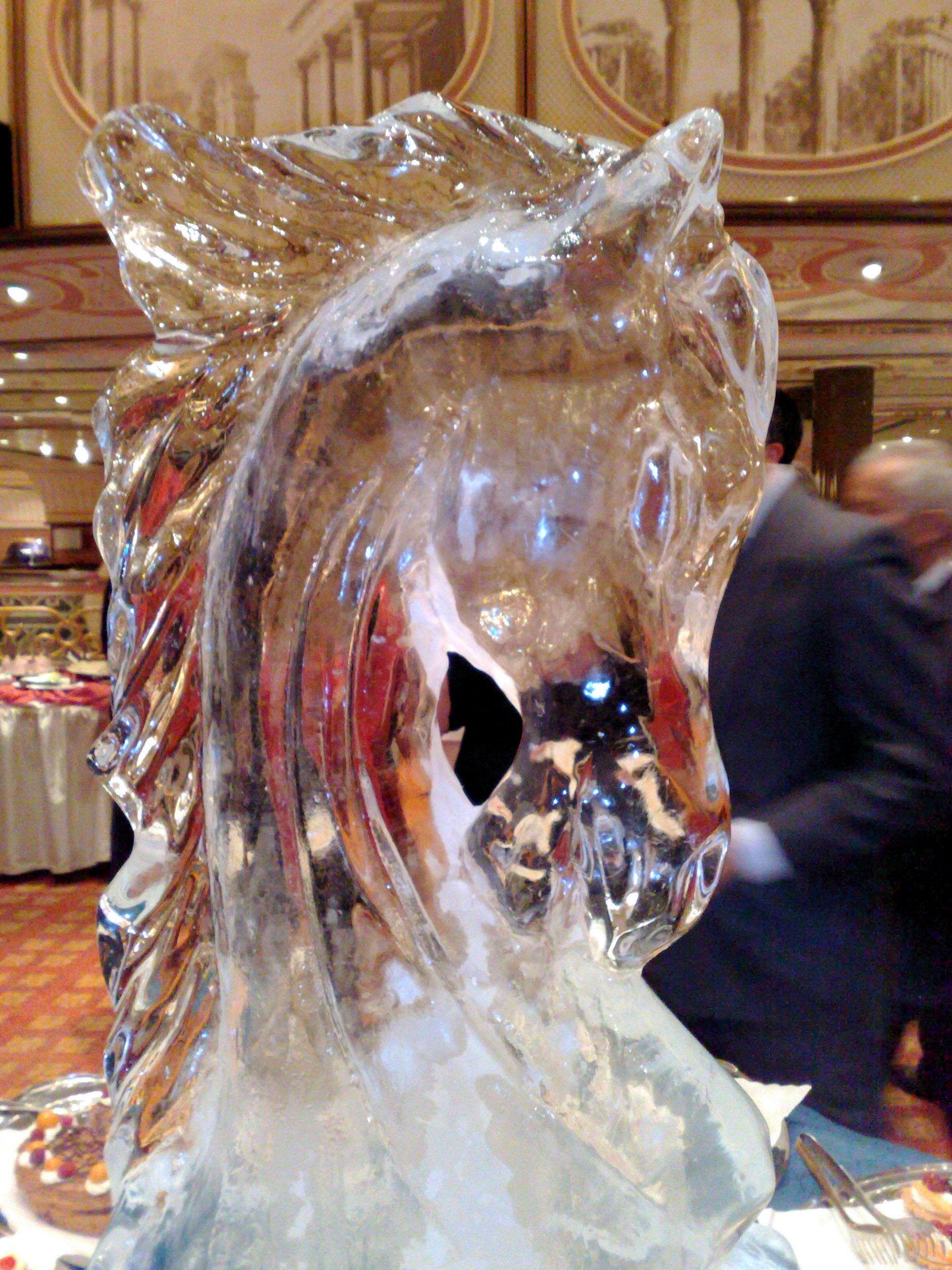 Ice Statues, Animal, Cruise, Horse, Ice, HQ Photo