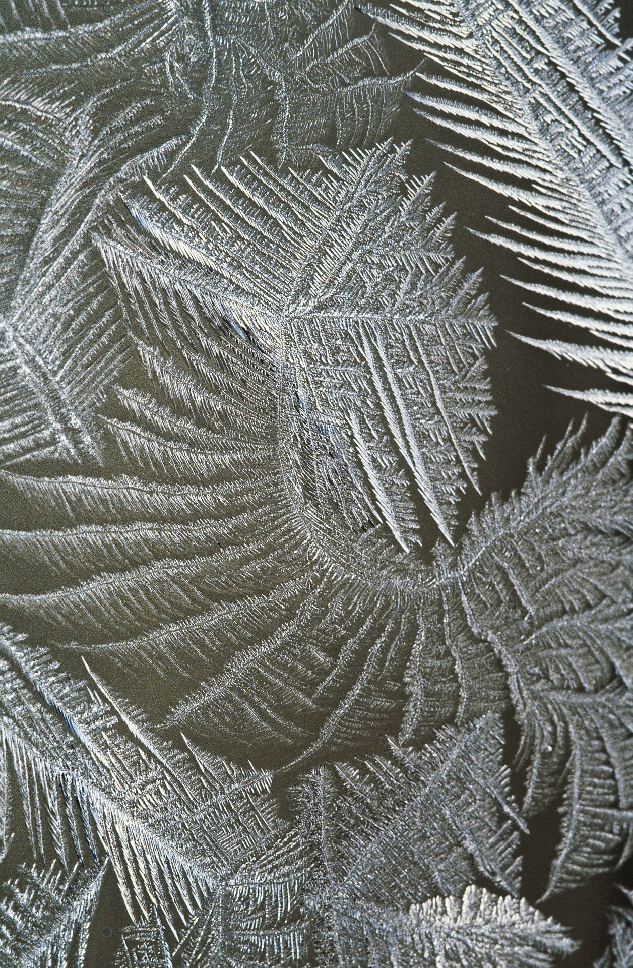 Ice Texture, Cold, Hard, Ice, Nature, HQ Photo