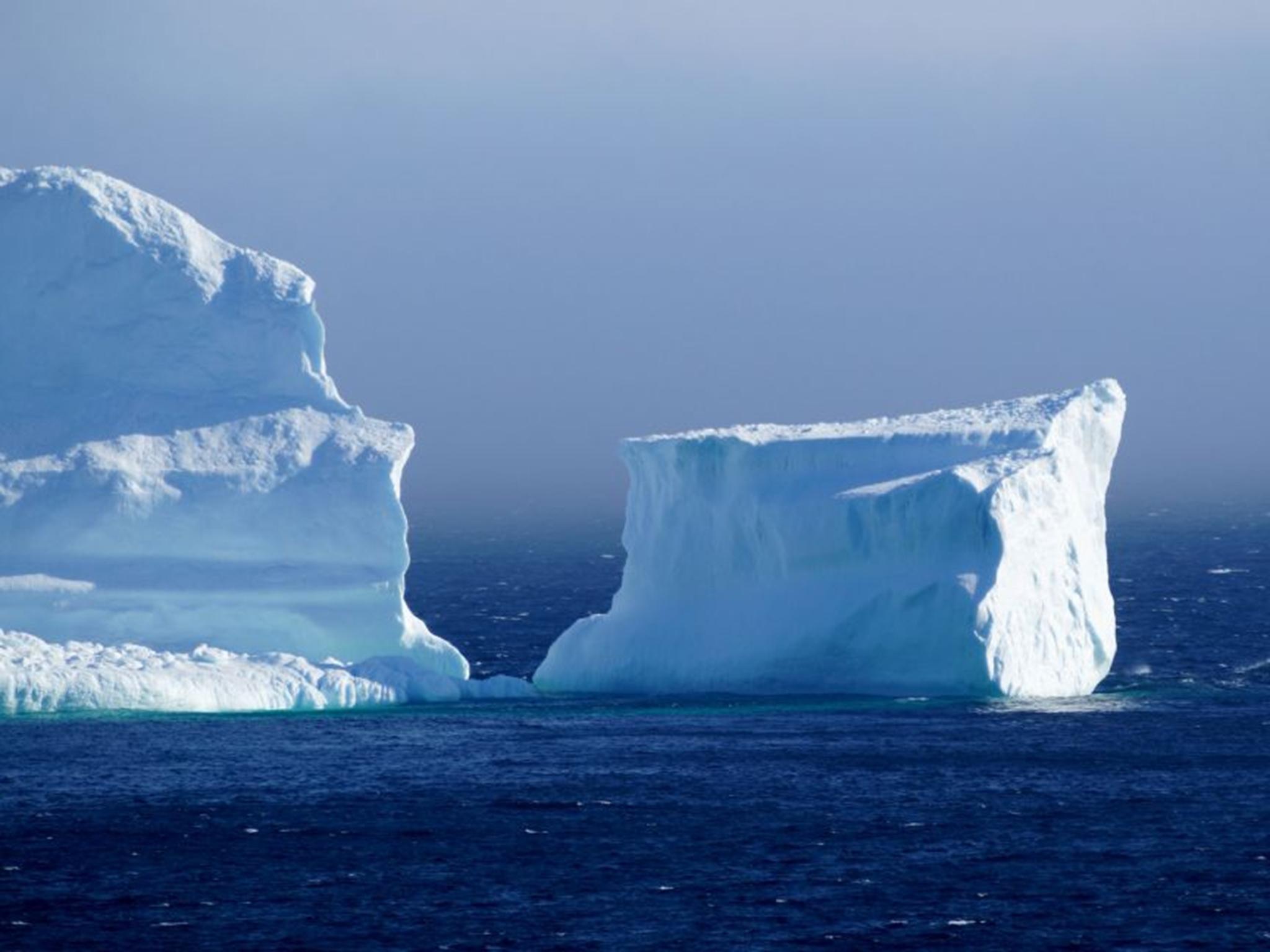Iceberg Alley: Newfoundland's new tourist attraction | The Independent