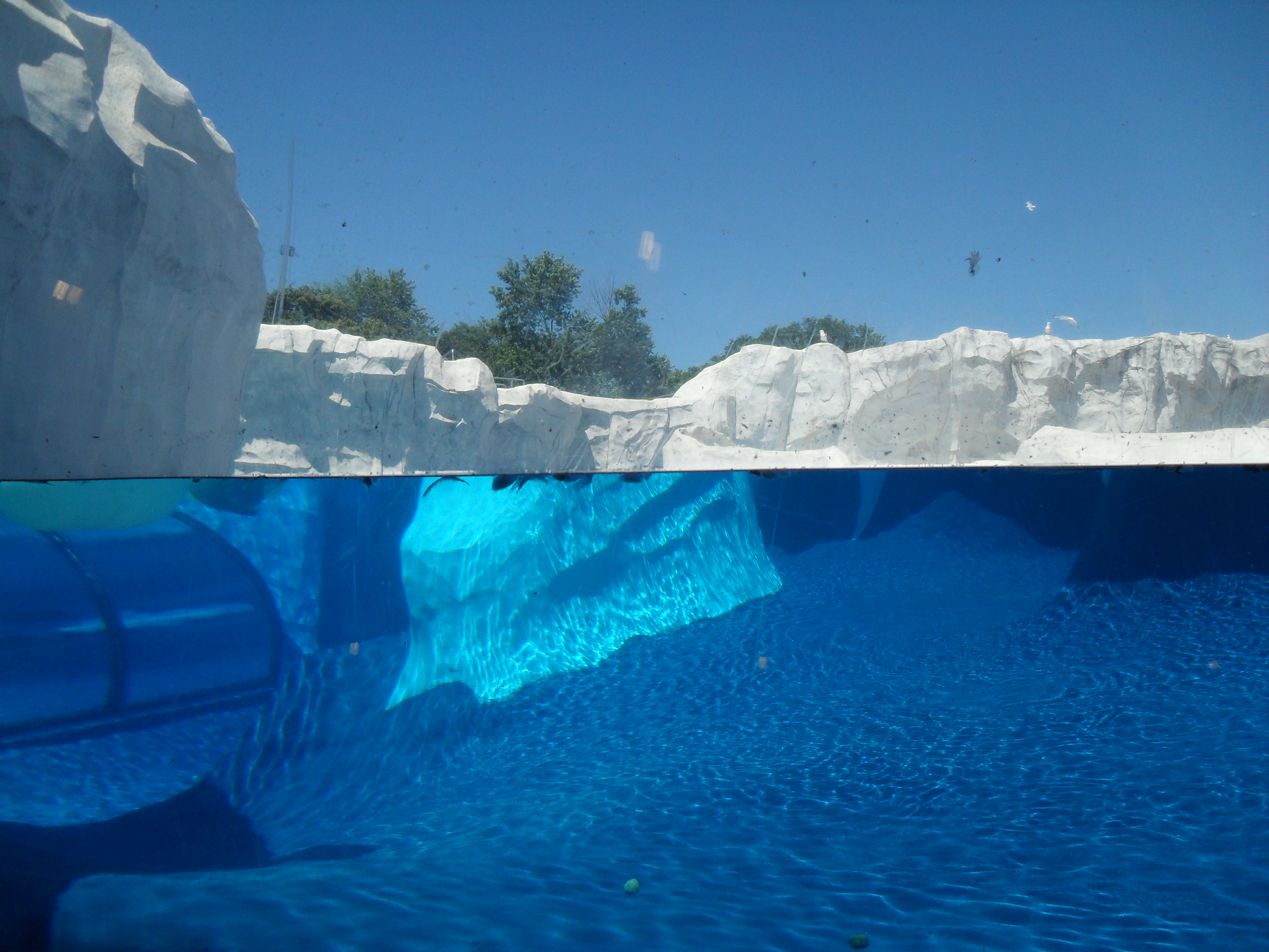 Underwater Iceberg HD Wallpaper, Background Images