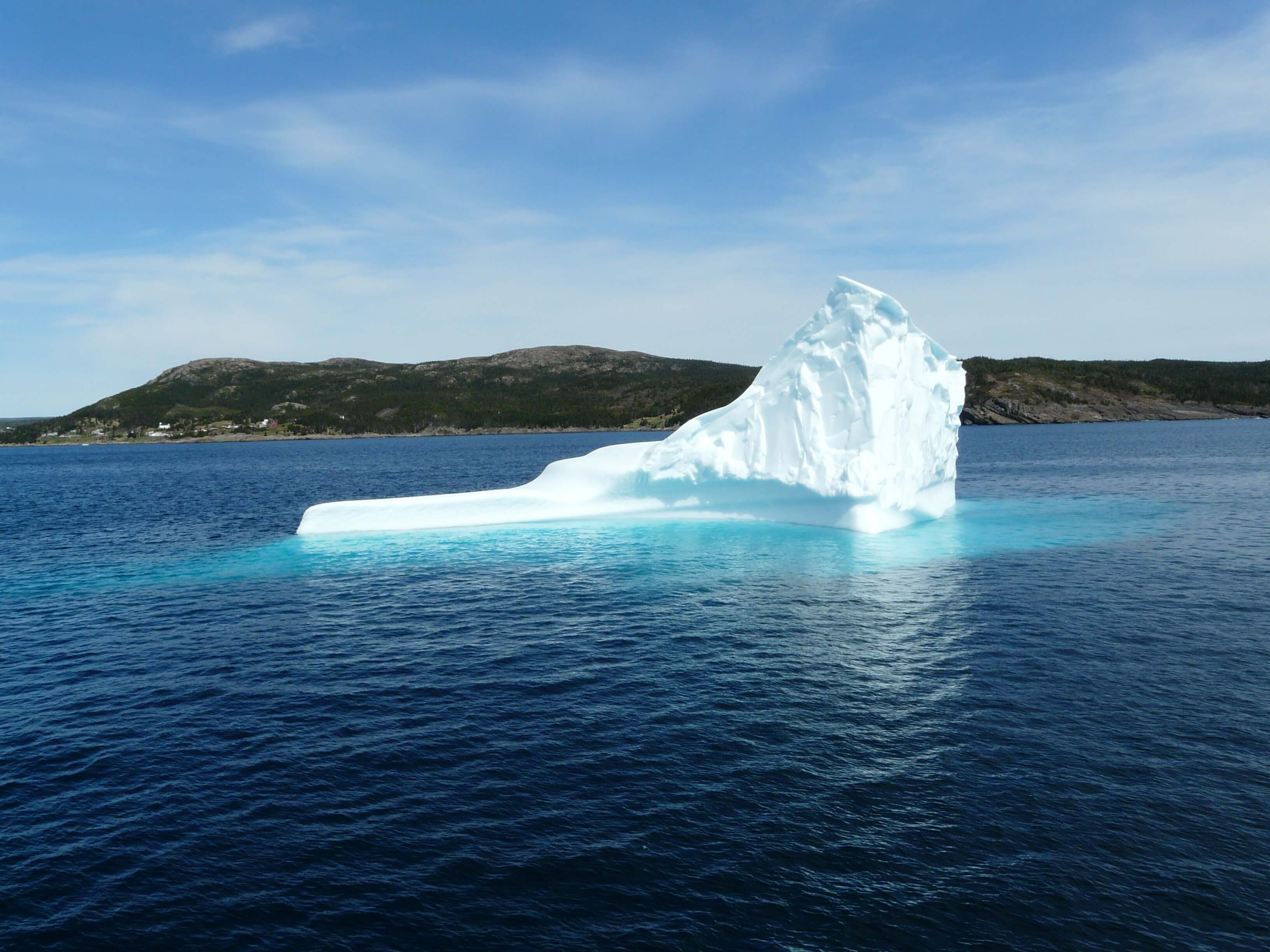 Iceberg tours in Newfoundland – Gatherall's Puffin and Whale Watch
