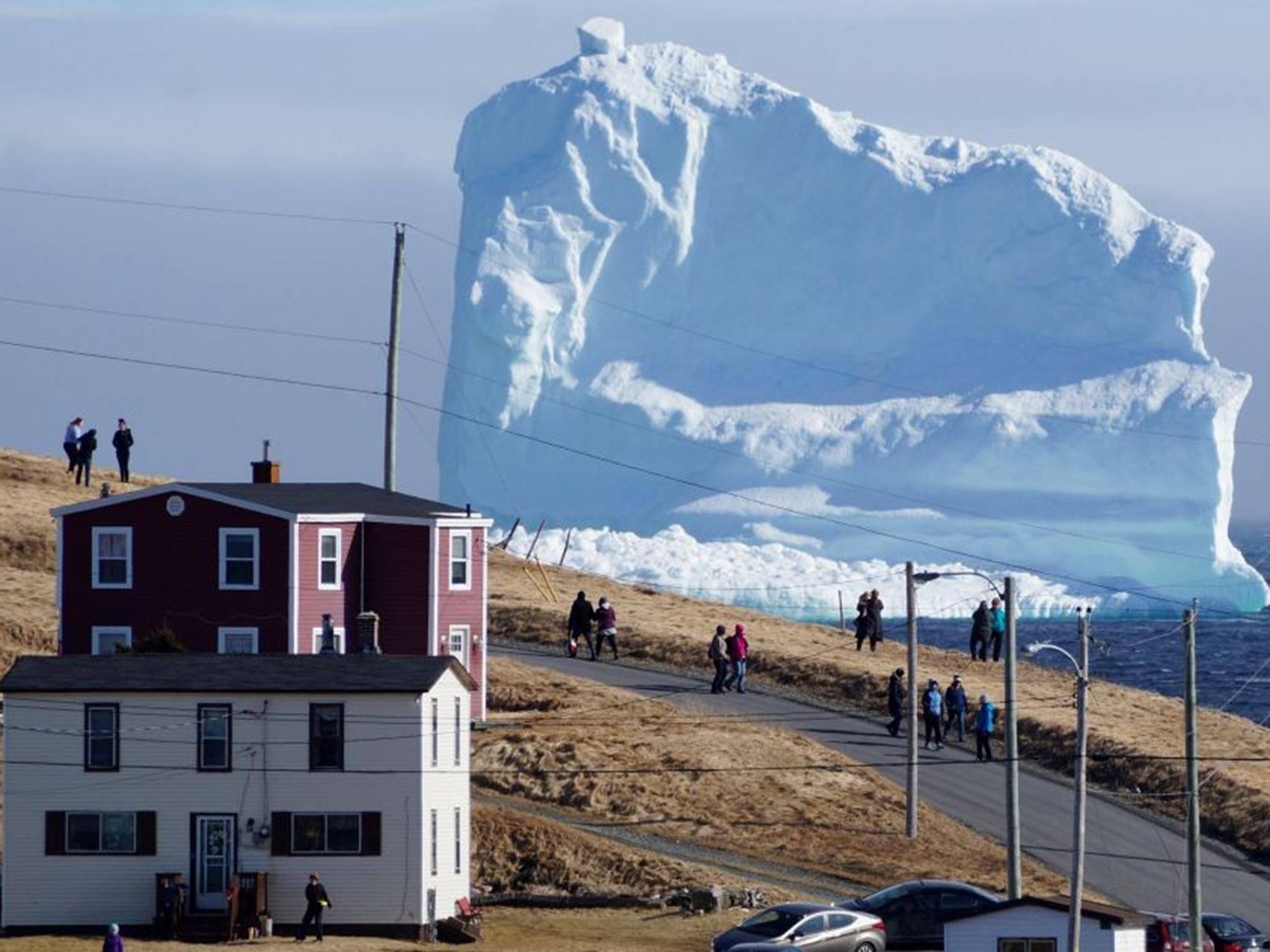 Iceberg Alley: Newfoundland's new tourist attraction | The Independent