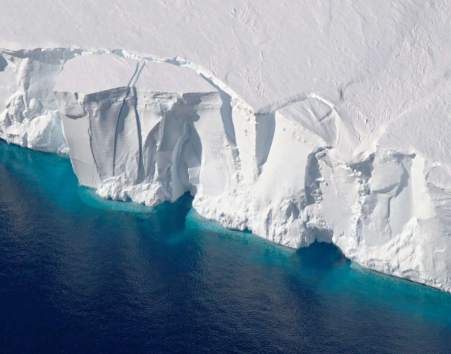 ICEBERG ALLEY – Iceberg and Whale Sightings