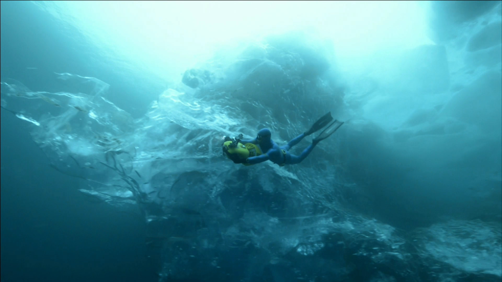 Swimming with Icebergs - National Geographic Channel