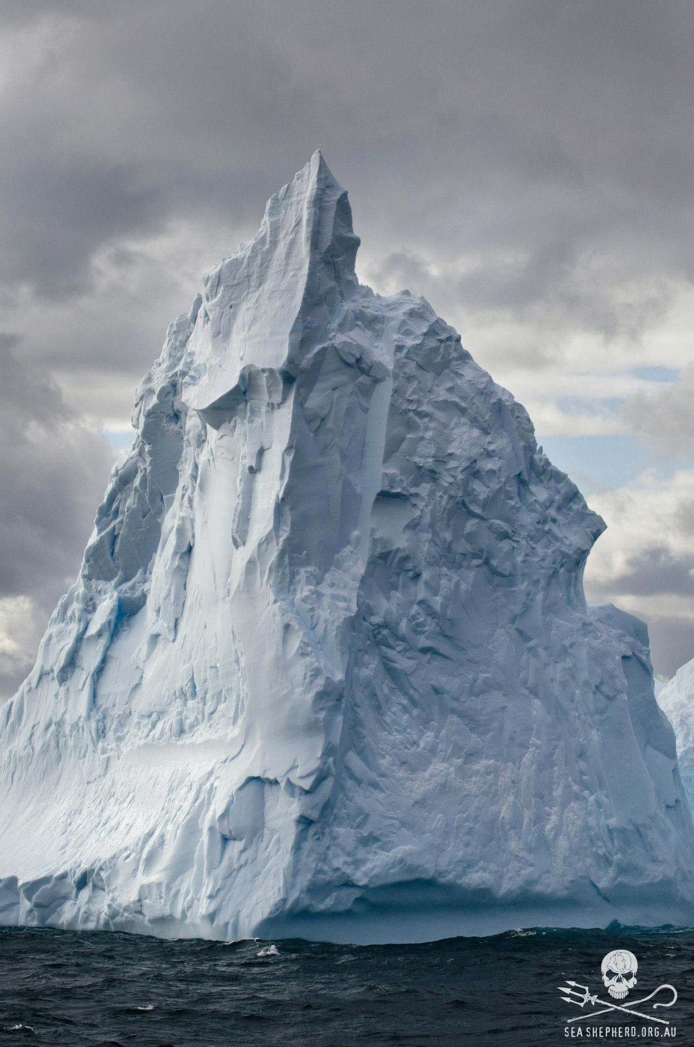 Antarctic icebergs towering high #seashepherd #antarctica #iceberg ...
