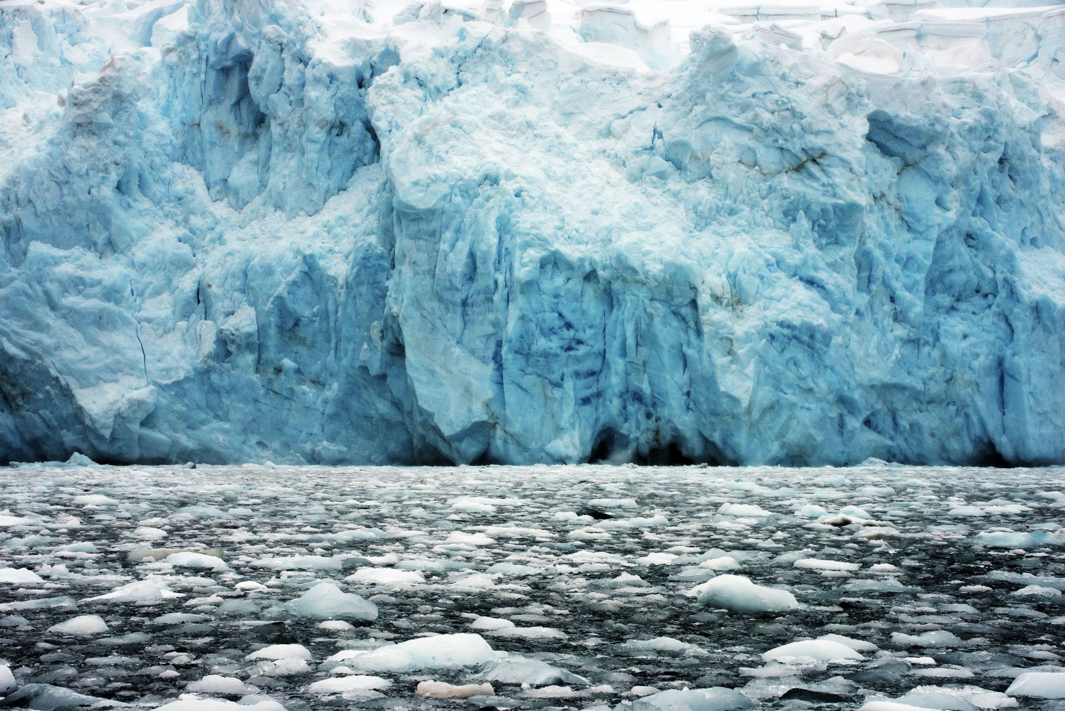 A Photographic Gallery - Landscapes: Icebergs and Pack-ice in the ...