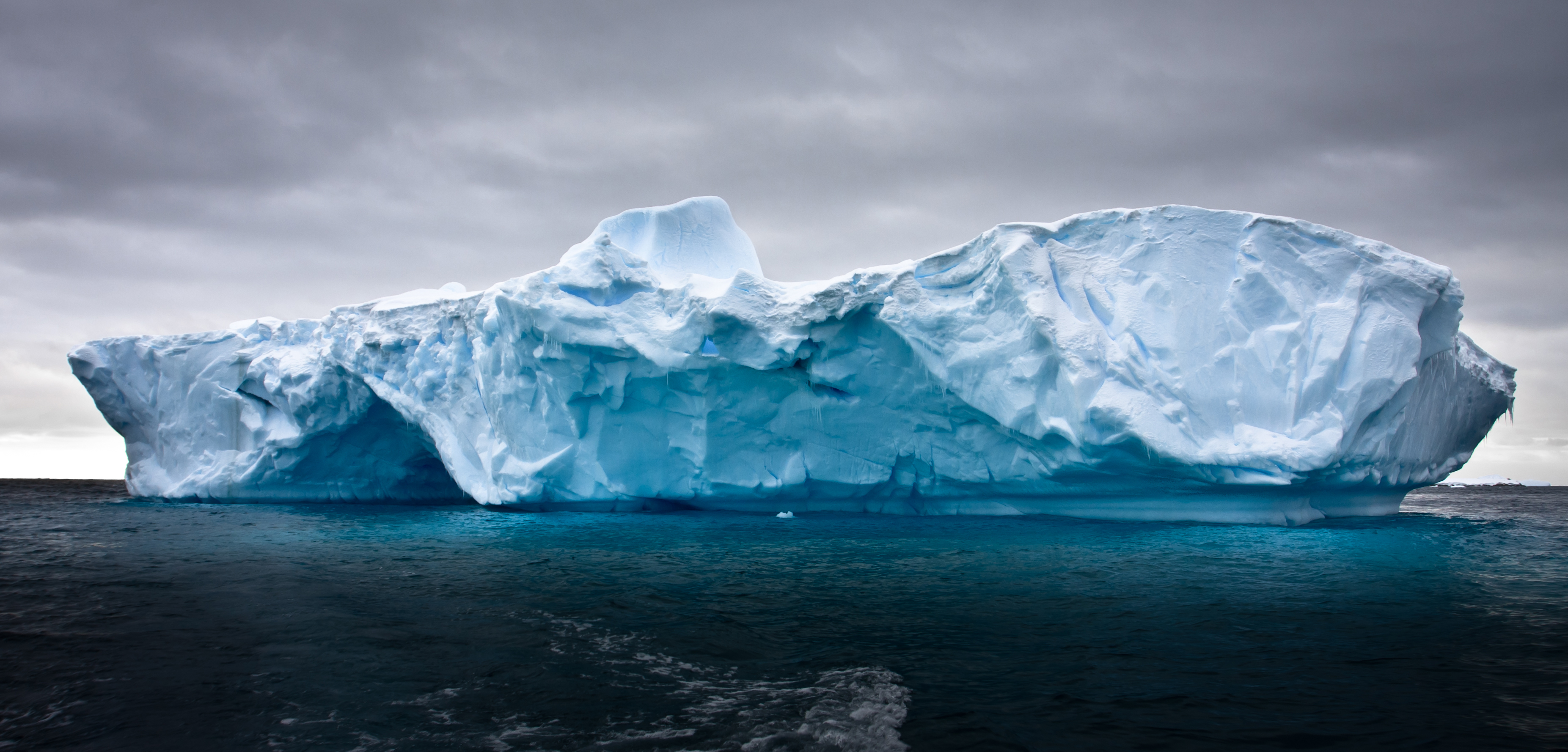 Help from the Iceberg | The Better Plan . .