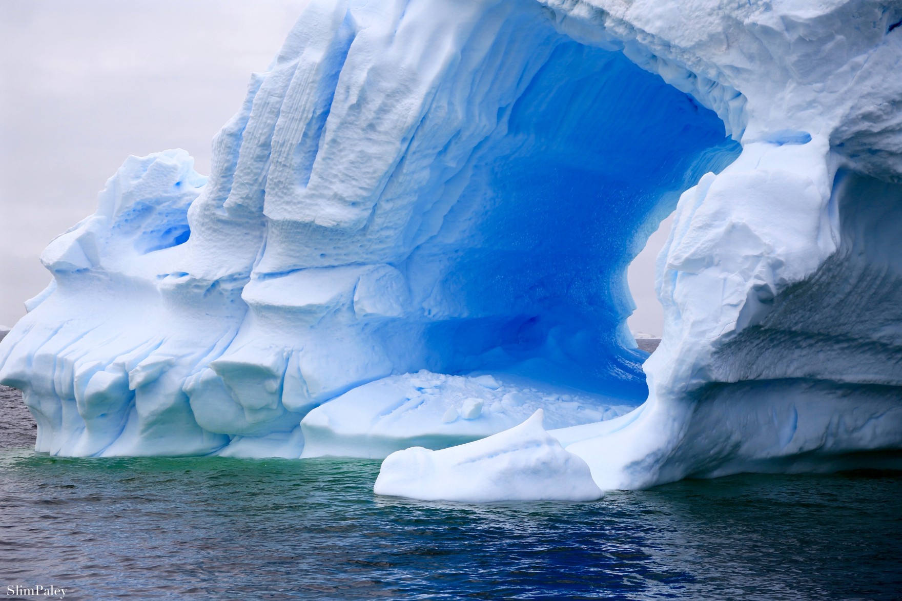 Icebergs ahead! | Slim Paley