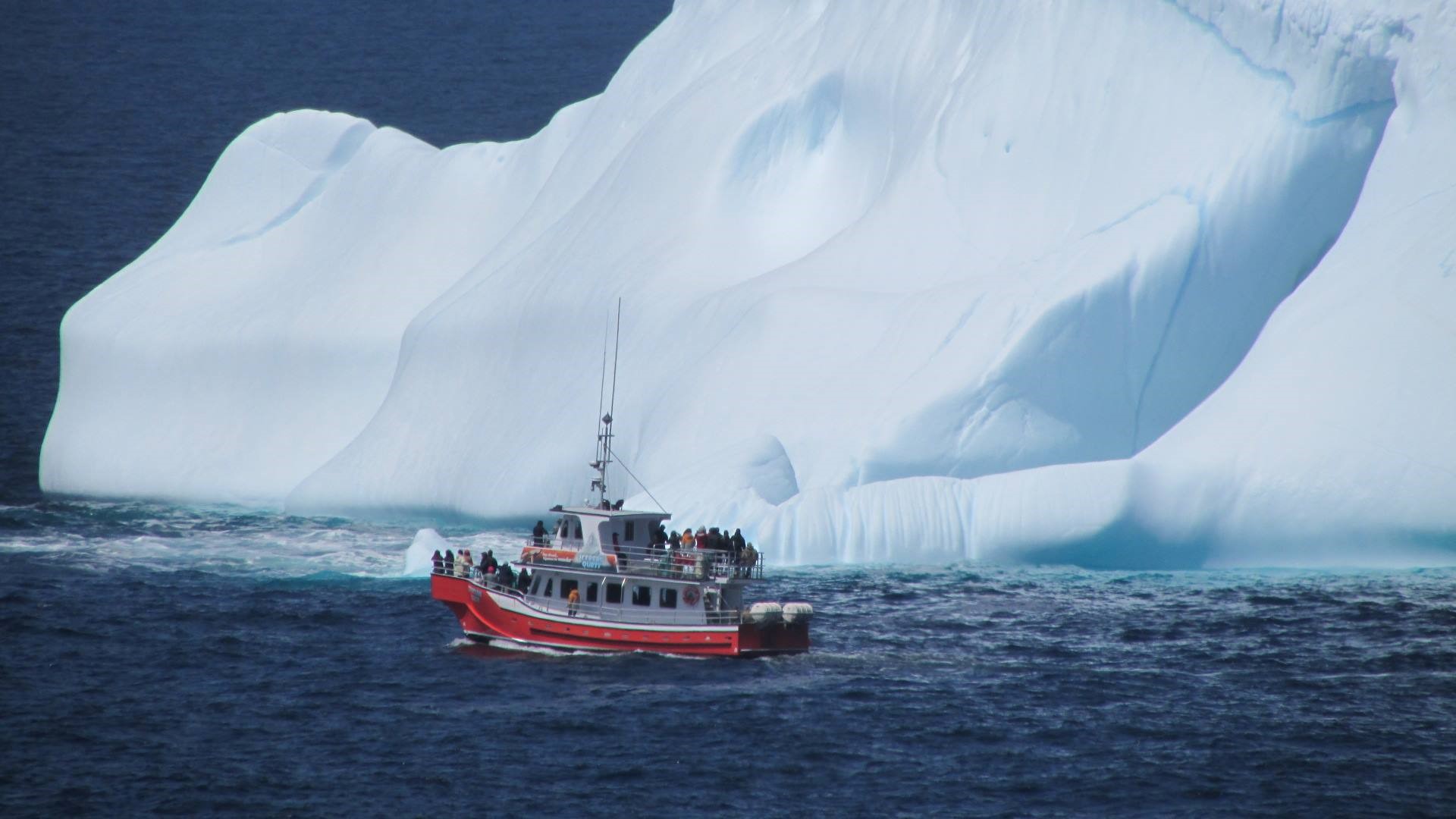 Newfoundland Icebergs Newfoundland Iceberg Tours St John's Twillingate