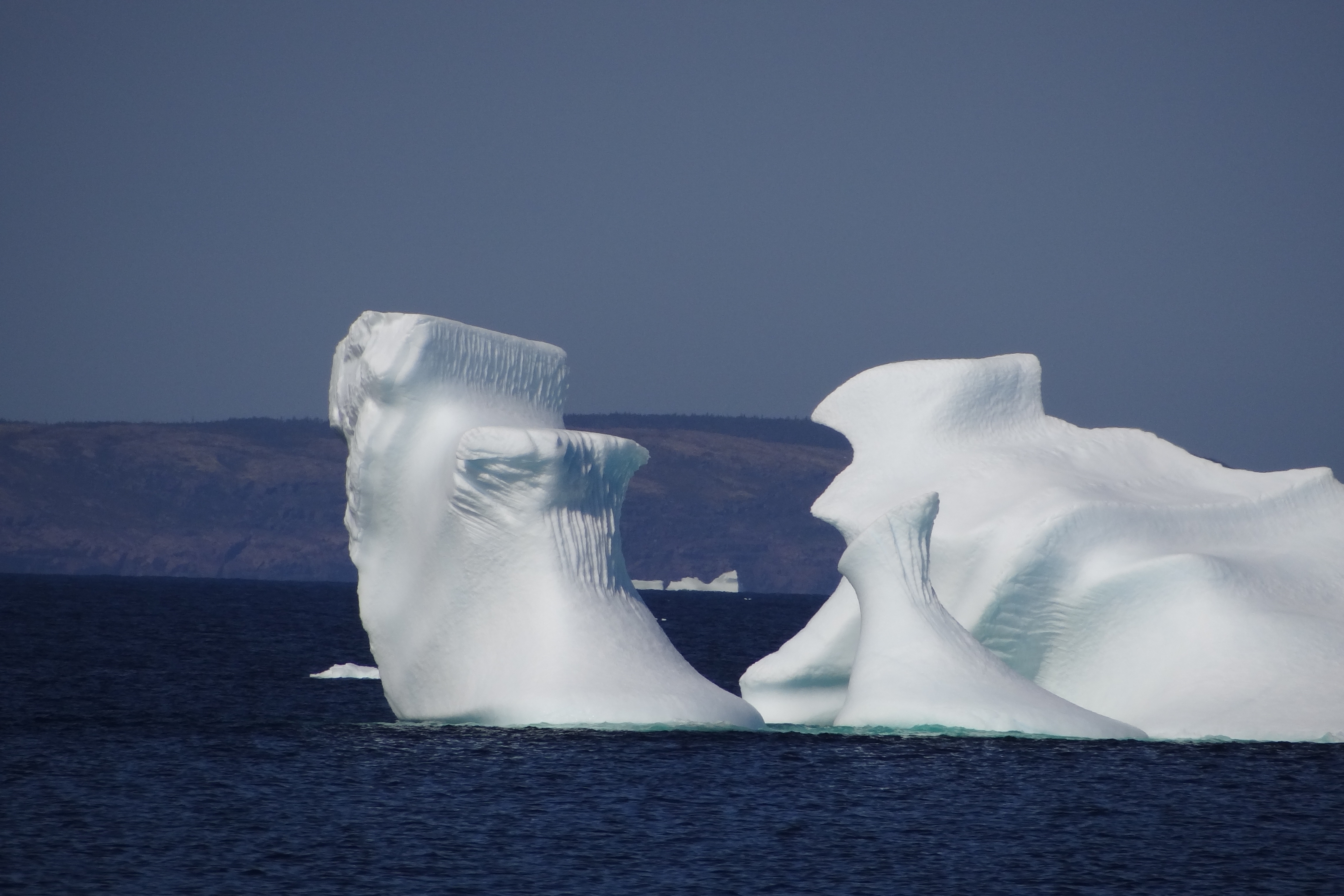 DLR - Earth Observation Center - Tracking Icebergs with TerraSAR-X