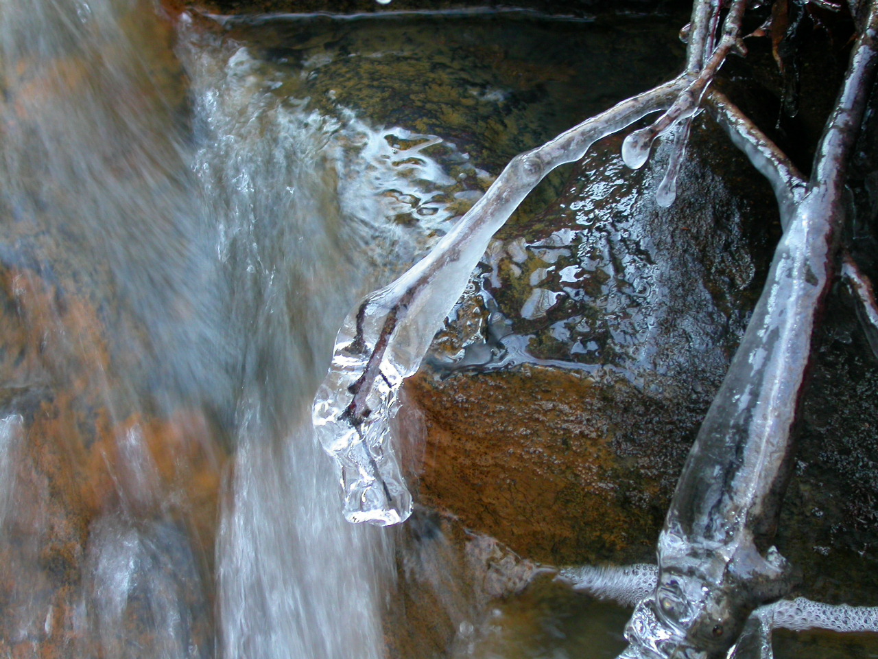 Iced tree by waterfall photo