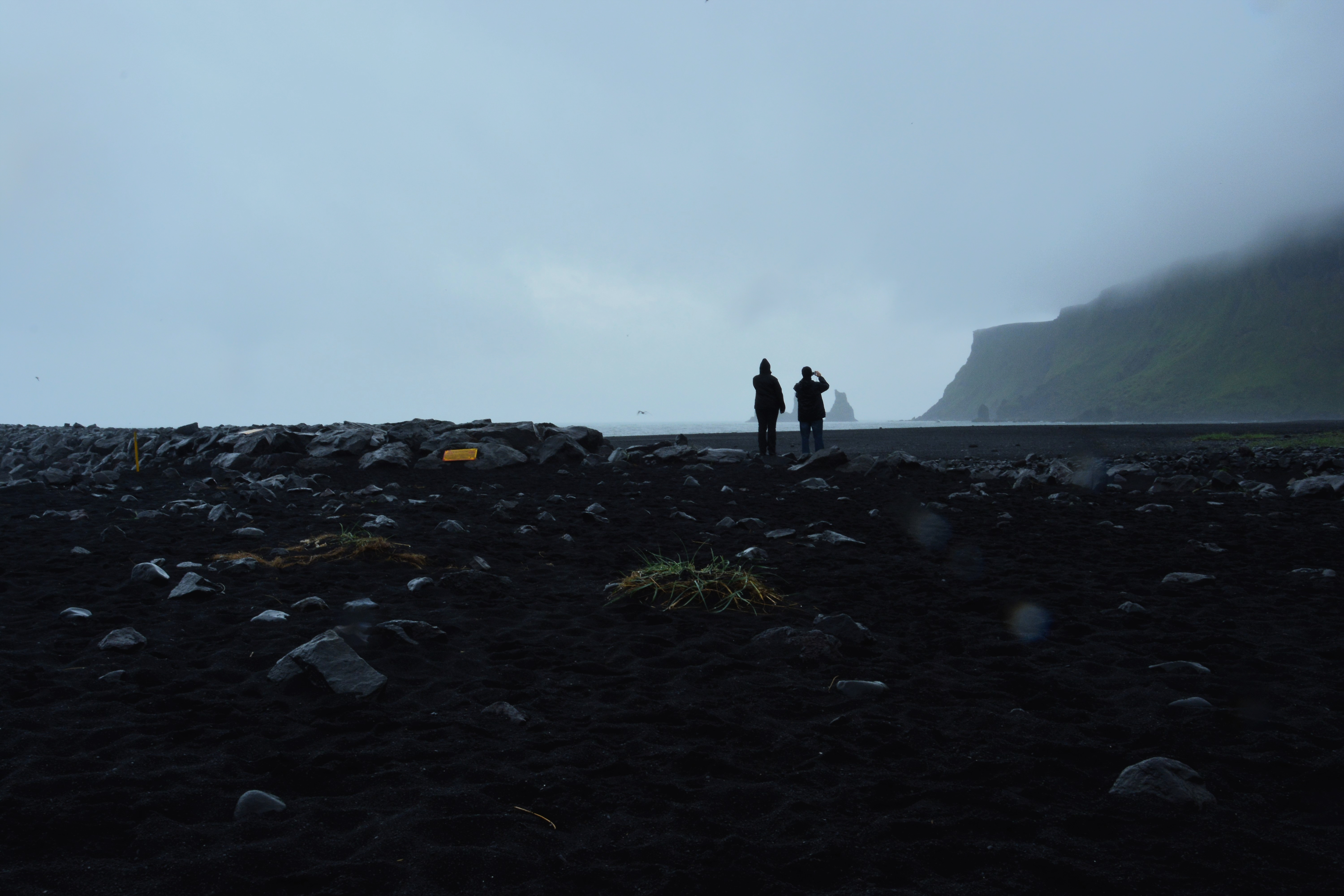 Iceland, black beach in rain photo