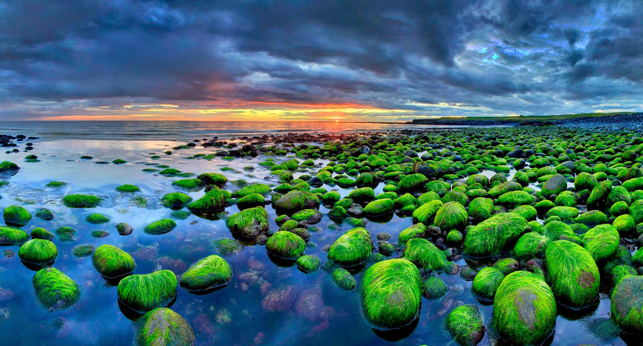 Moss covered rocks on a beach in Iceland - Imgur