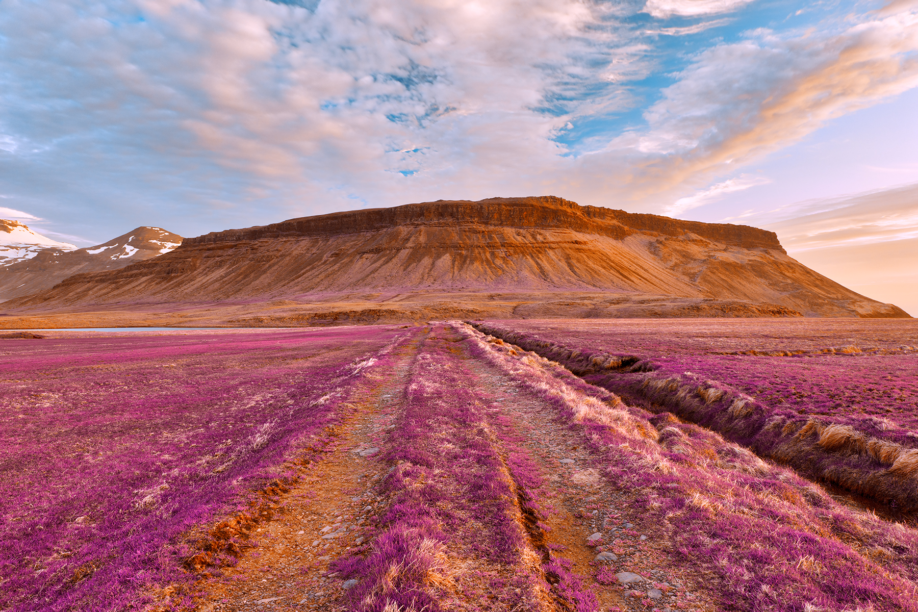 Iceland sunset tractor trail - tickle me purple photo