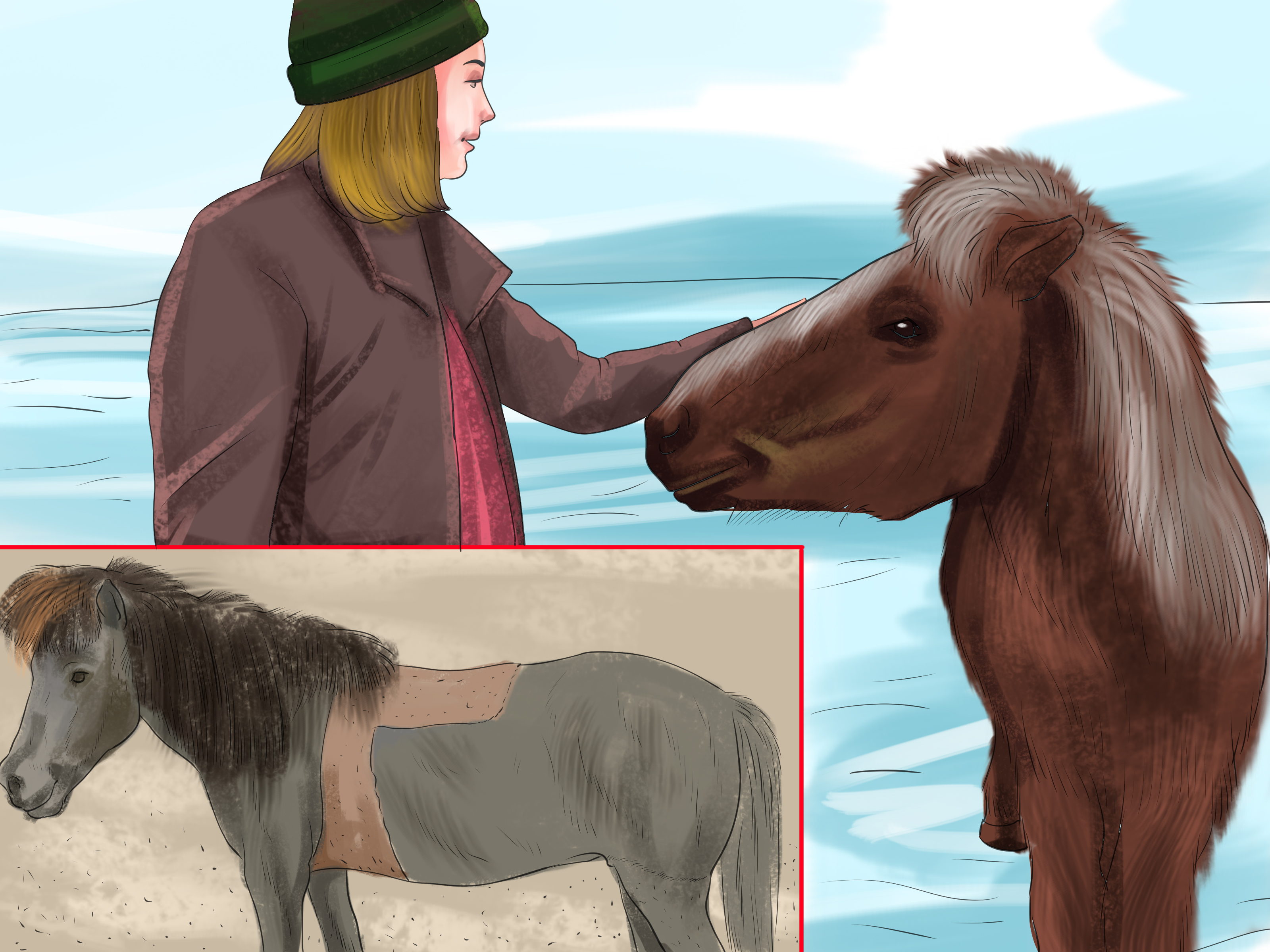 3 Ways to Ride an Icelandic Horse - wikiHow