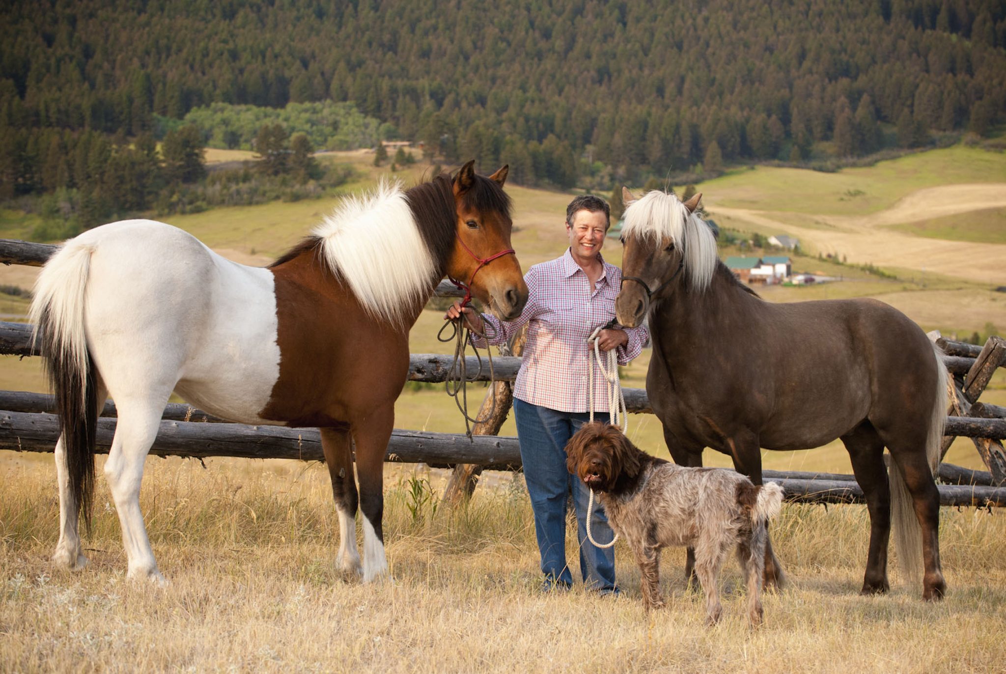 Horse Riding in Iceland; Icelandic Ponies, Horses; AdventureWomen