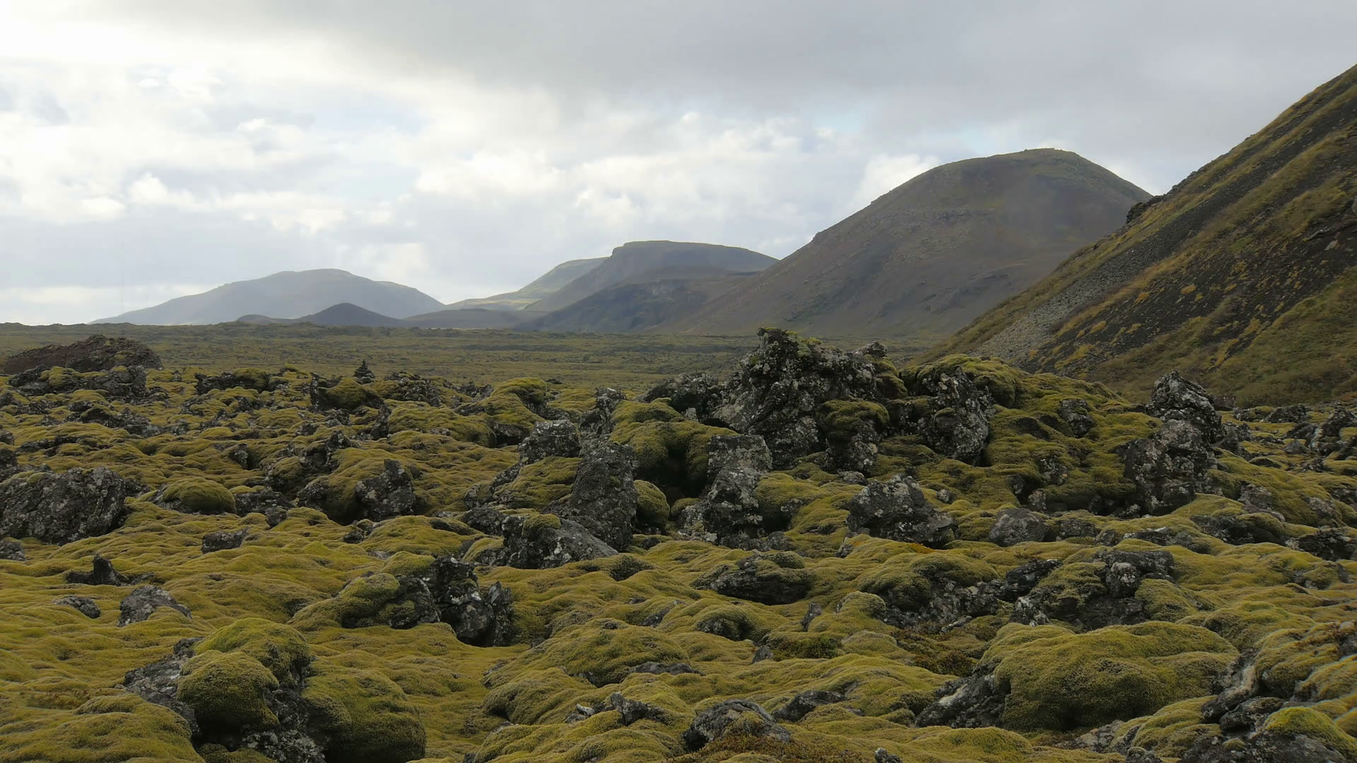 icelandic landscape with mountains, lava field covered yellowed moss ...