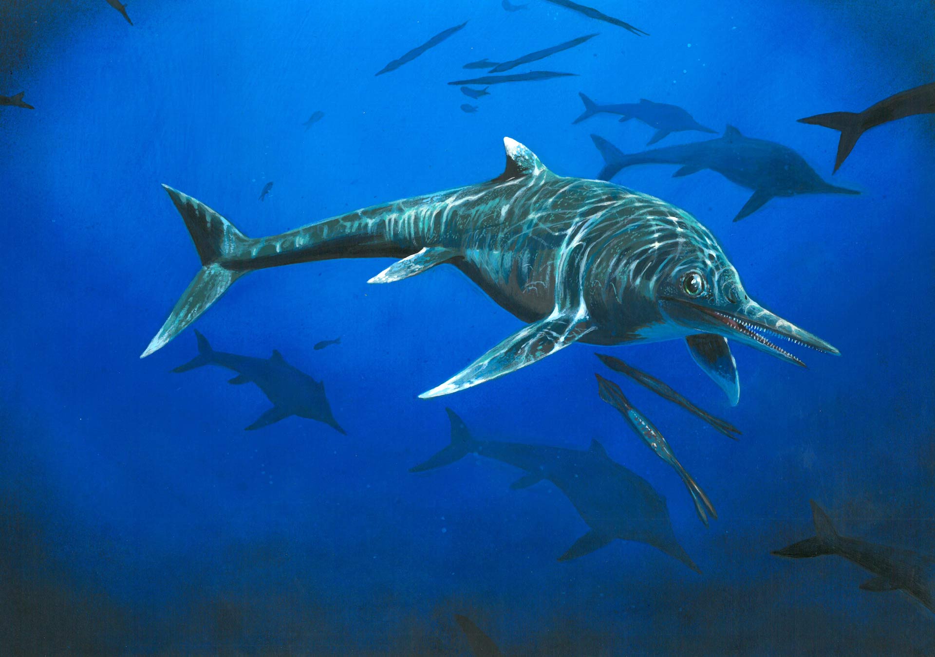 Paleontologists Find 200-Million-Year-Old Ichthyosaur Fossil ...
